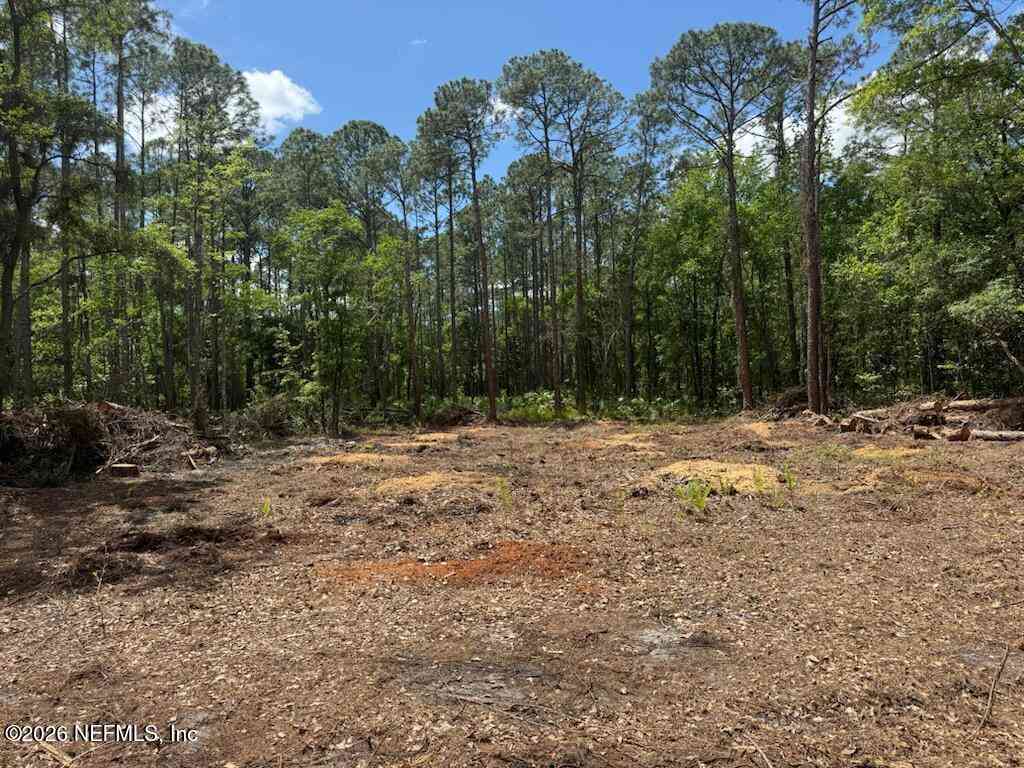 Vacant Land For Sale - 133 Northwest Avenue<br/> Palatka, FL 32177
