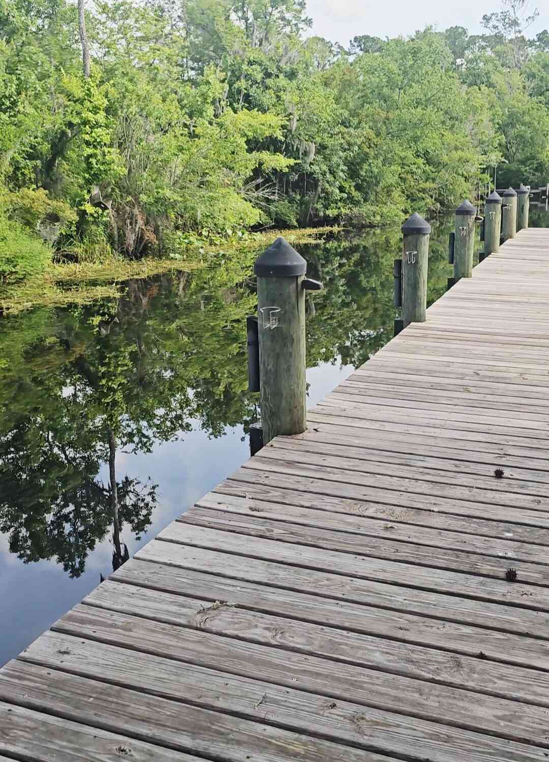 Vacant Land For Sale - 5079 Hide A Way Drive<br/> Jacksonville, FL 32258