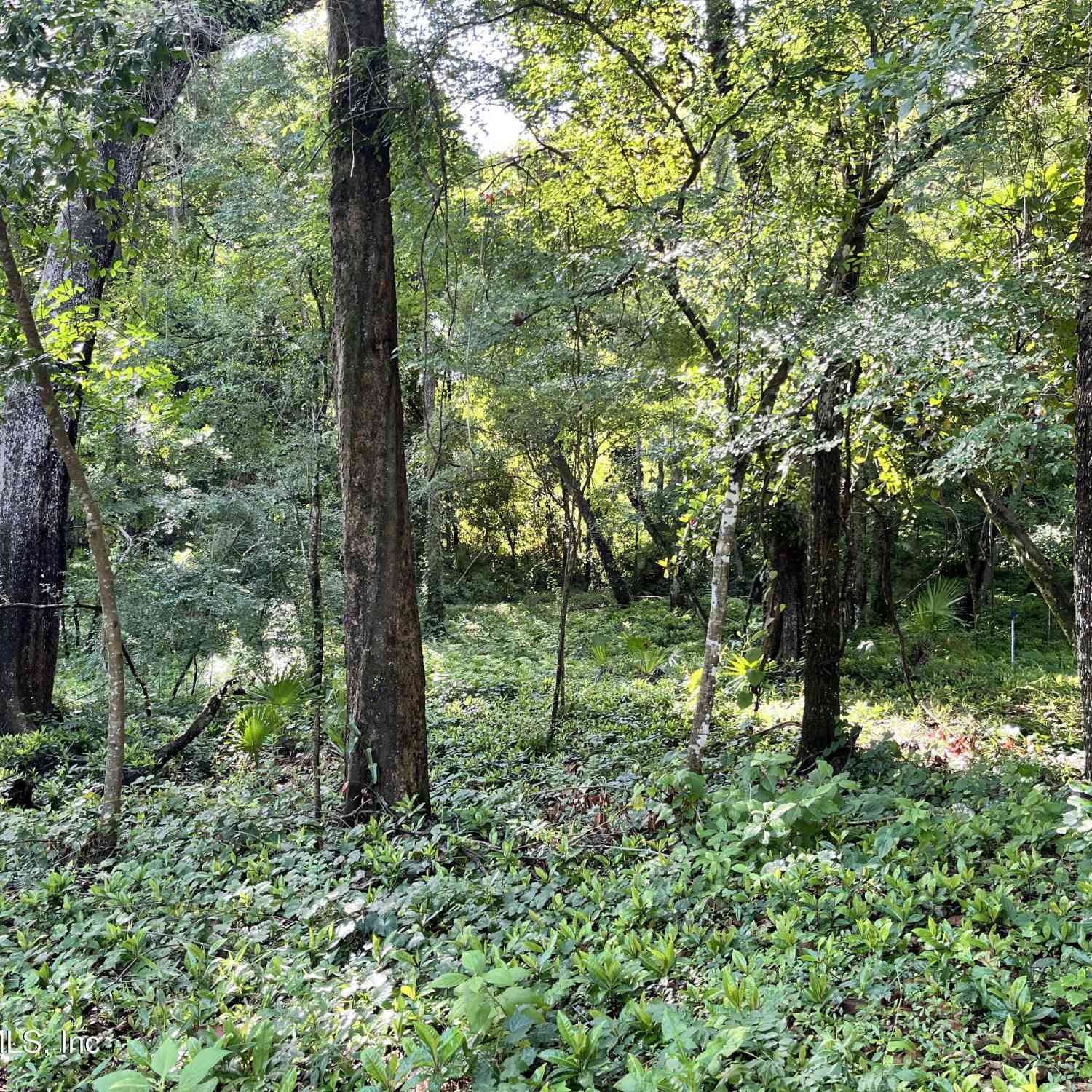 Vacant Land For Sale - Myron Court<br/> St. Johns, FL 32259