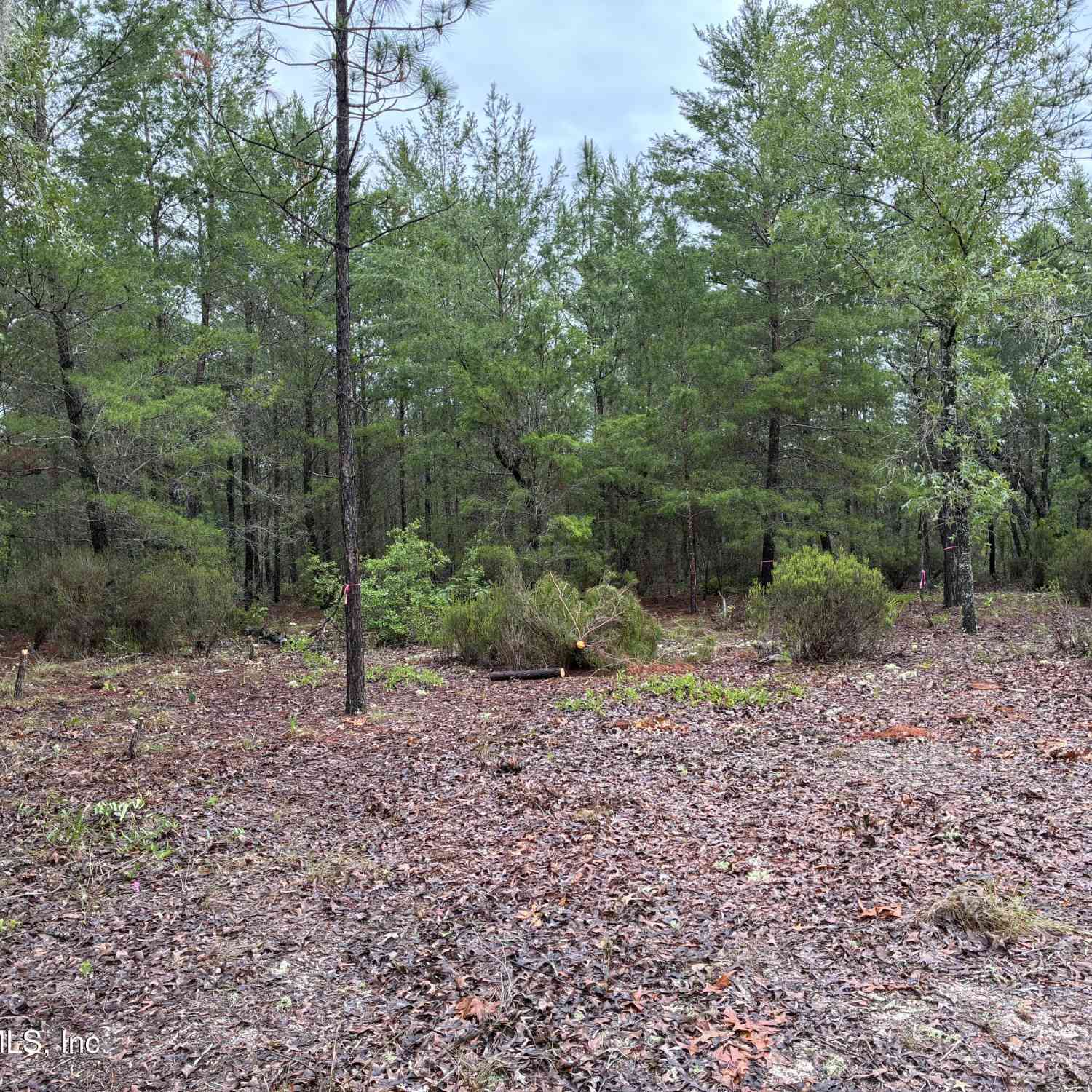 Vacant Land For Sale - 204 Glasgow Street<br/> Interlachen, FL 32148