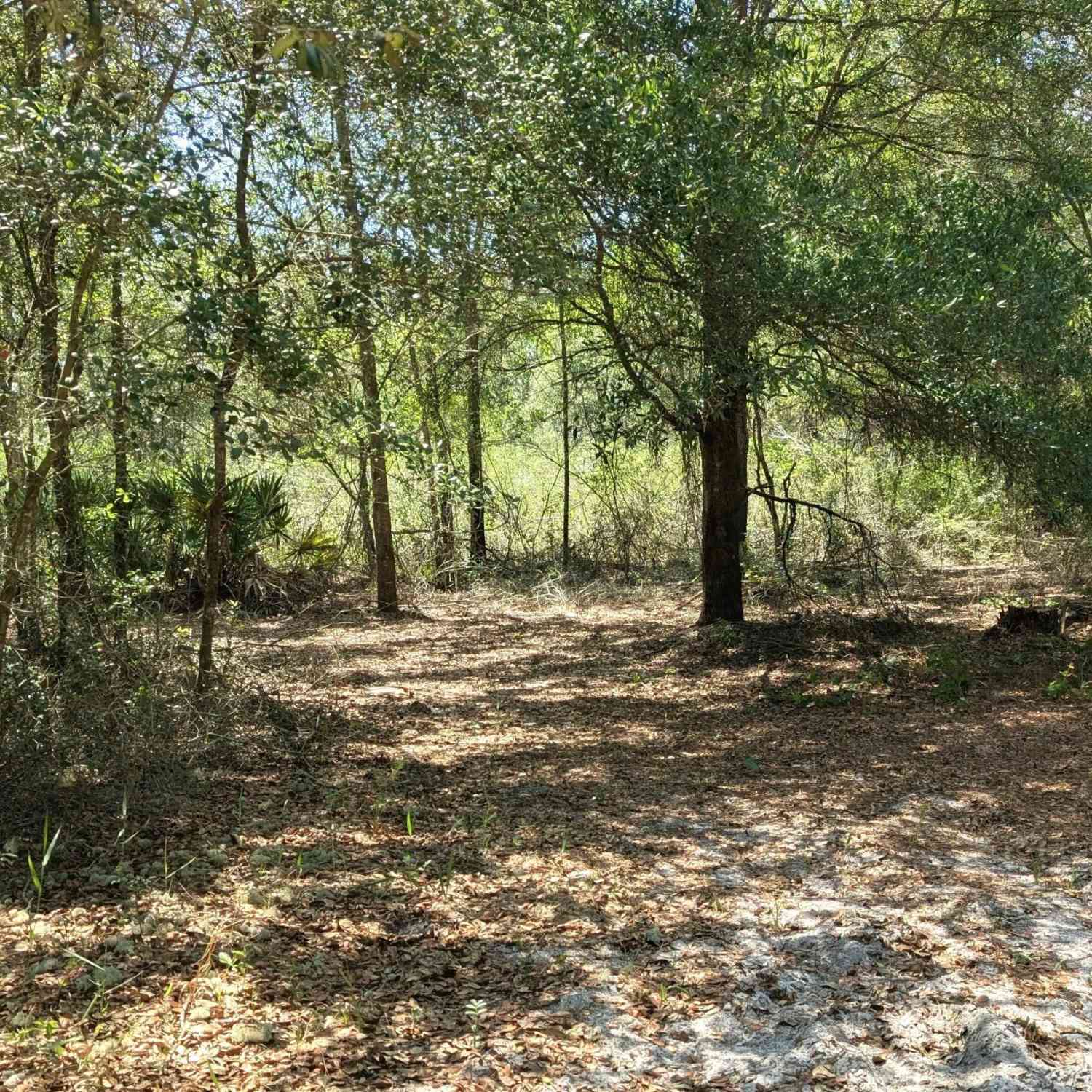 Vacant Land For Sale - 7642 Huron Court<br/> Keystone Heights, FL 32656
