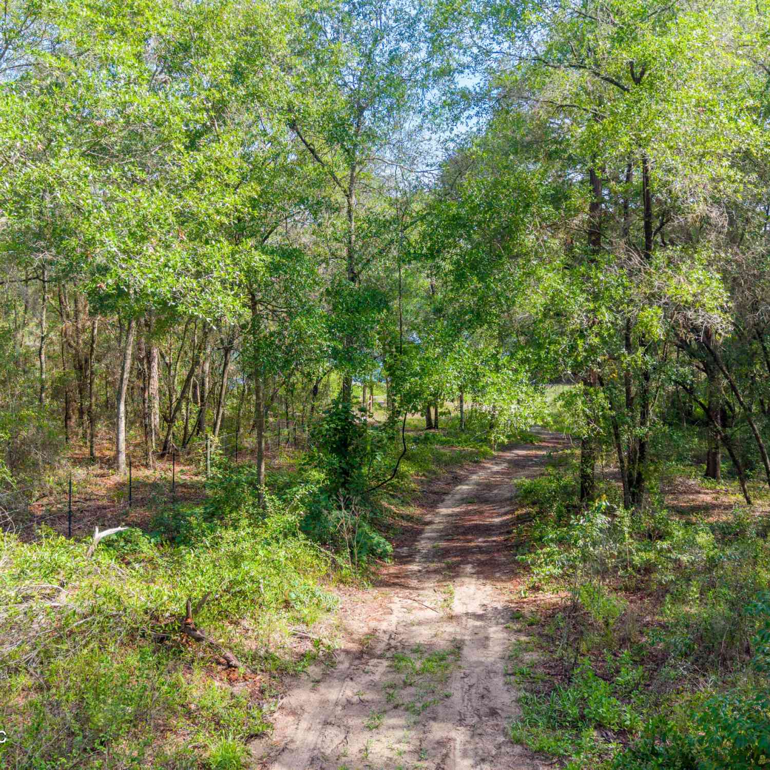 Vacant Land For Sale - TBD LOT6/7 SE 1st Avenue<br/> Keystone Heights, FL 32656