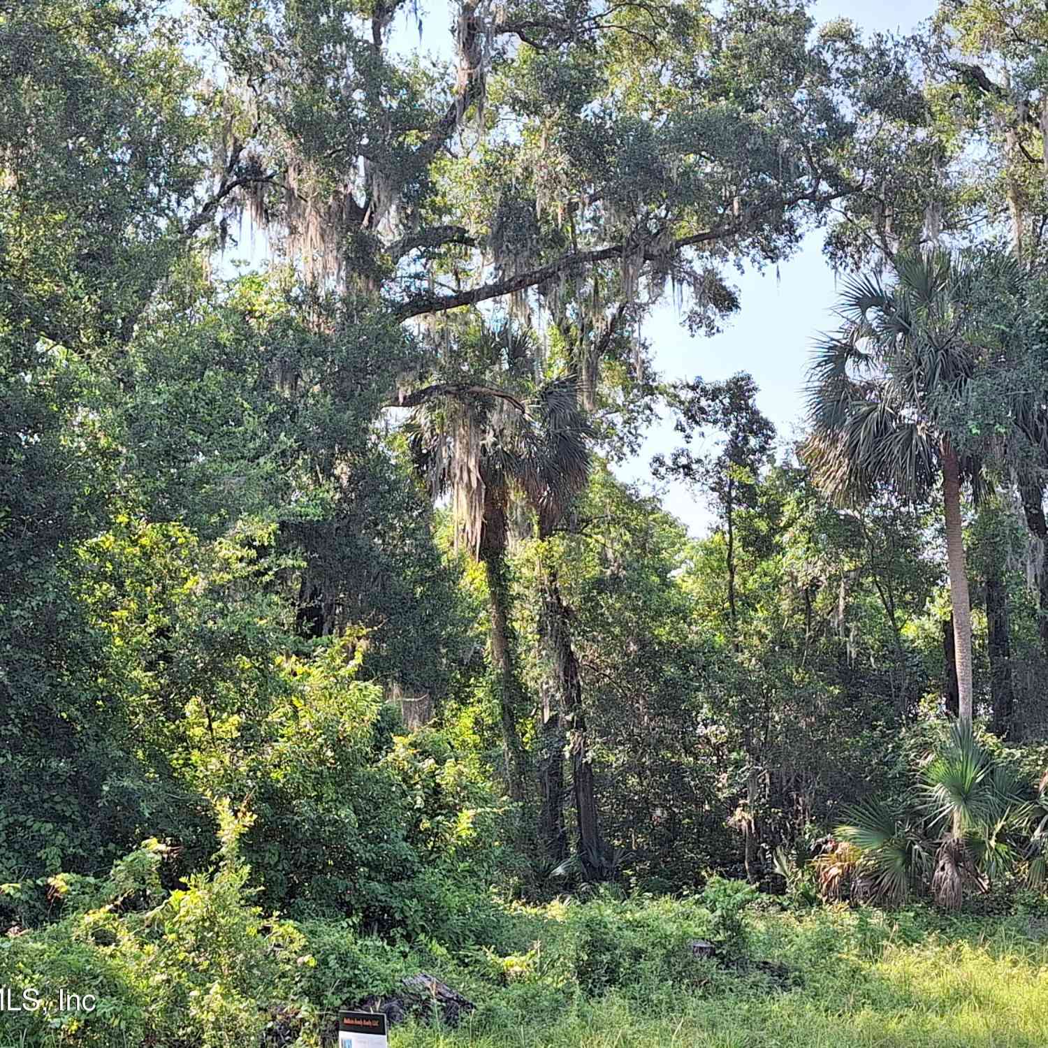 Vacant Land For Sale - 102 Lake Ida Point Drive<br/> Interlachen, FL 32148