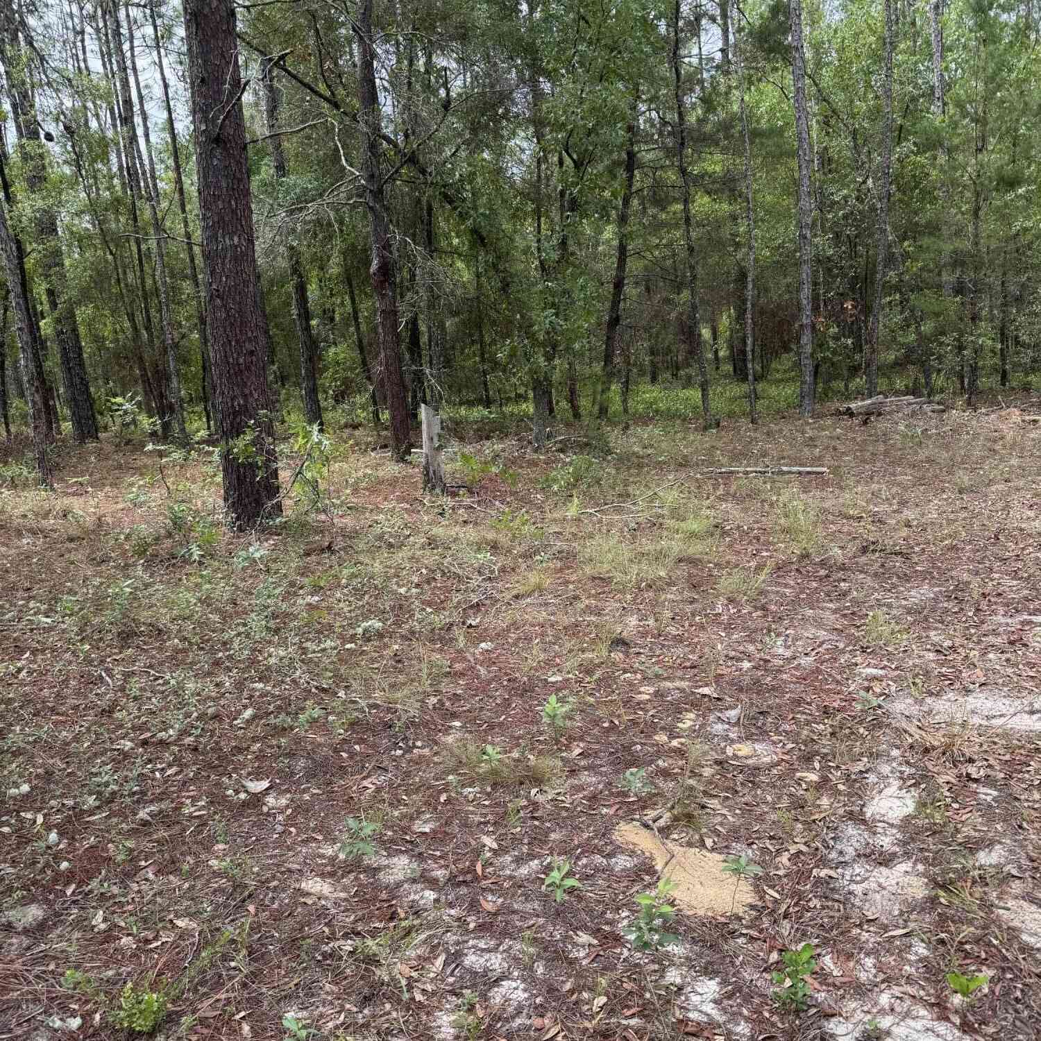Vacant Land For Sale - 4477 M Lake Road<br/> Keystone Heights, FL 32656