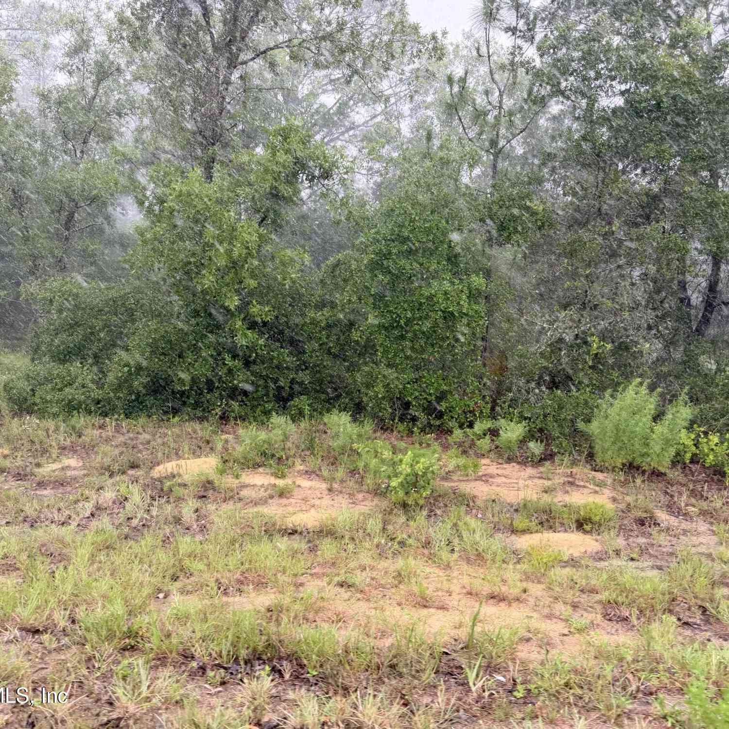 Vacant Land For Sale - 5628 County Road 214<br/> Keystone Heights, FL 32656