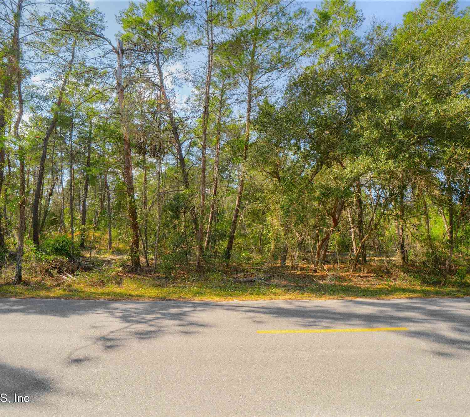 Vacant Land For Sale - 1027 Pineapple Street<br/> Welaka, FL 32181