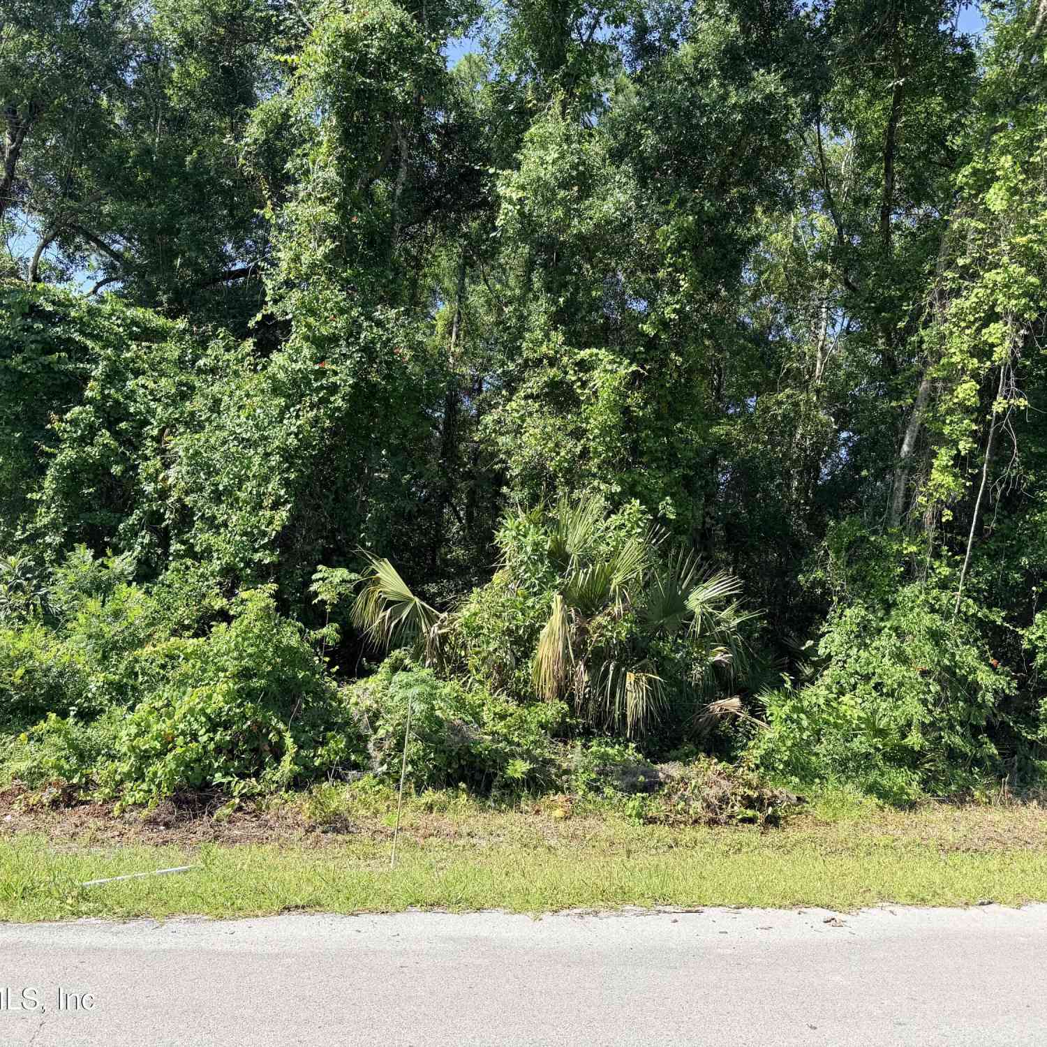Vacant Land For Sale - 115 Harris Street<br/> Palatka, FL 32177