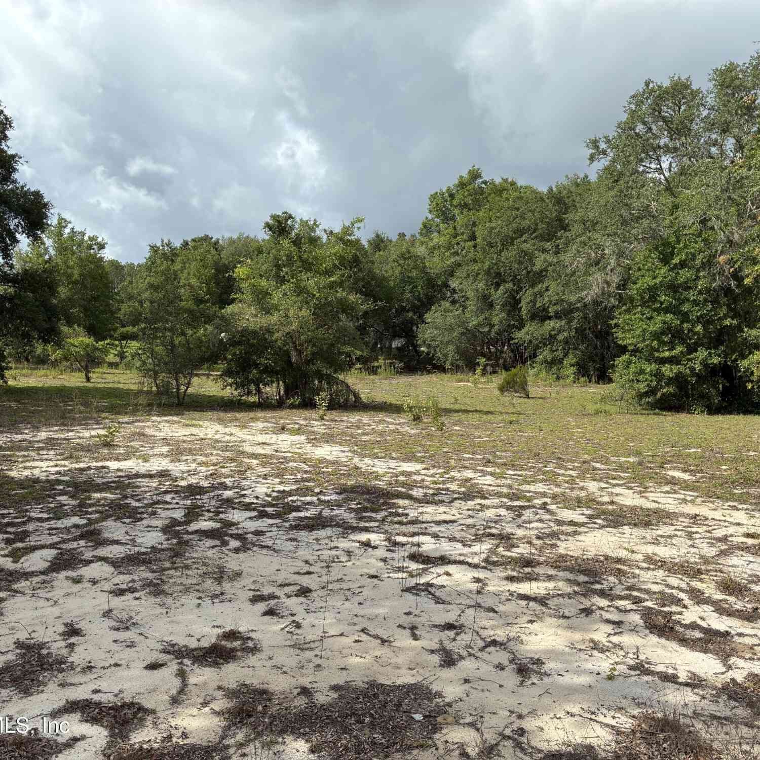 Vacant Land For Sale - 0220 Chesser Monroe Road<br/> Interlachen, FL 32148