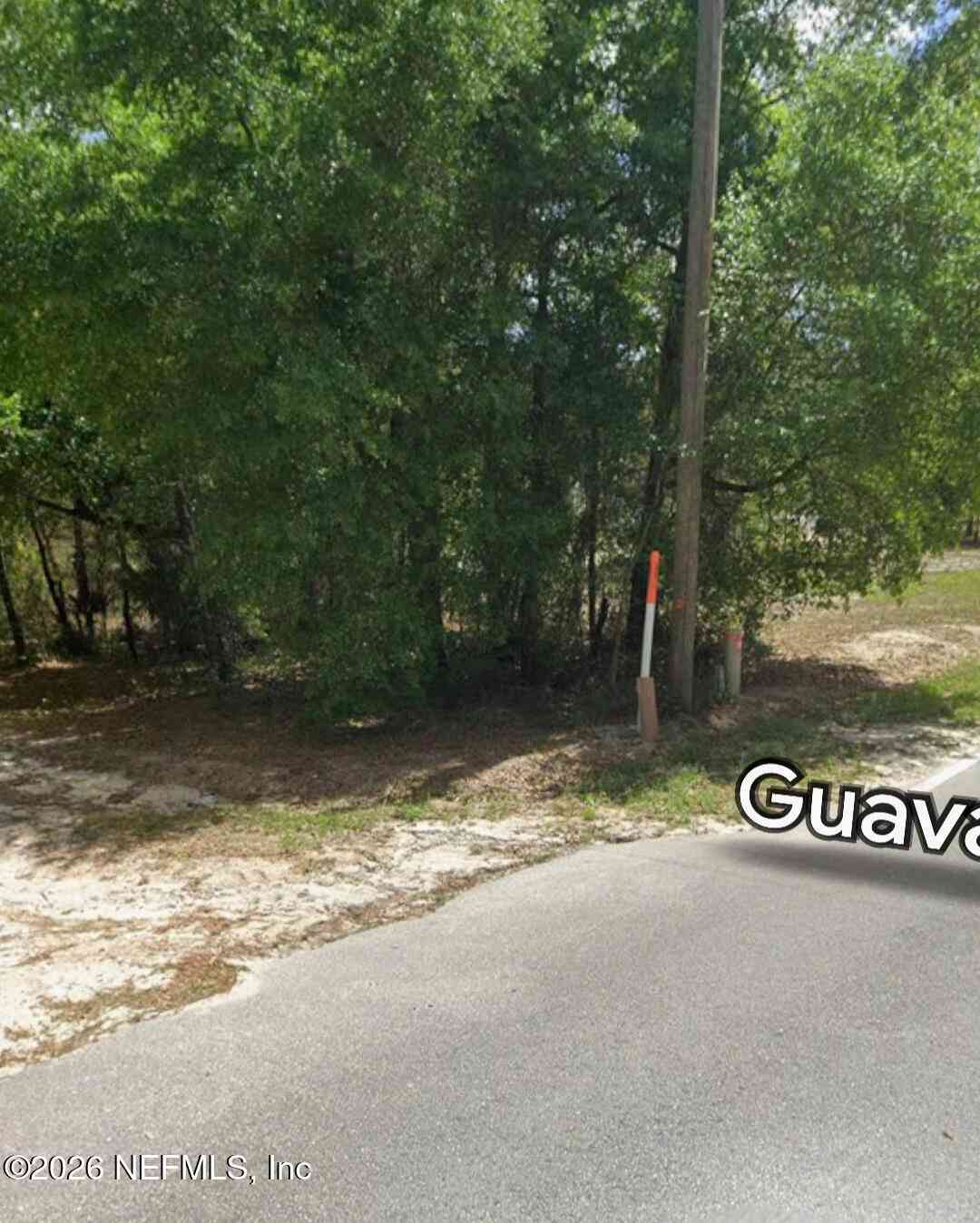 Vacant Land For Sale - 202 Guava Avenue<br/> Pomona Park, FL 32181
