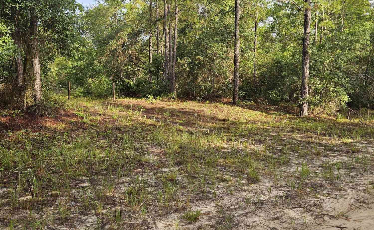Vacant Land For Sale - 409 Incline Road<br/> Satsuma, FL 32189