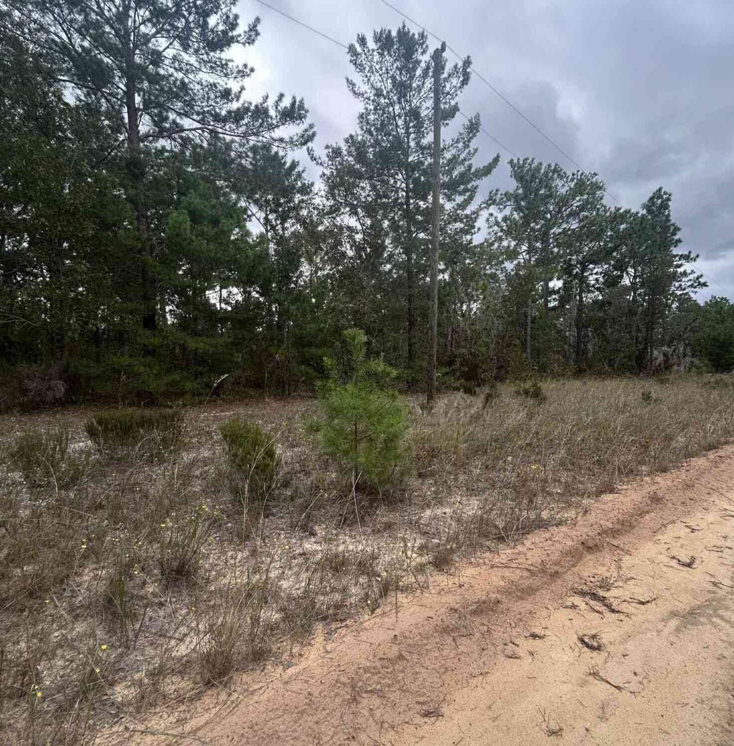 Vacant Land For Sale - 136 Martin Street<br/> Interlachen, FL 32148