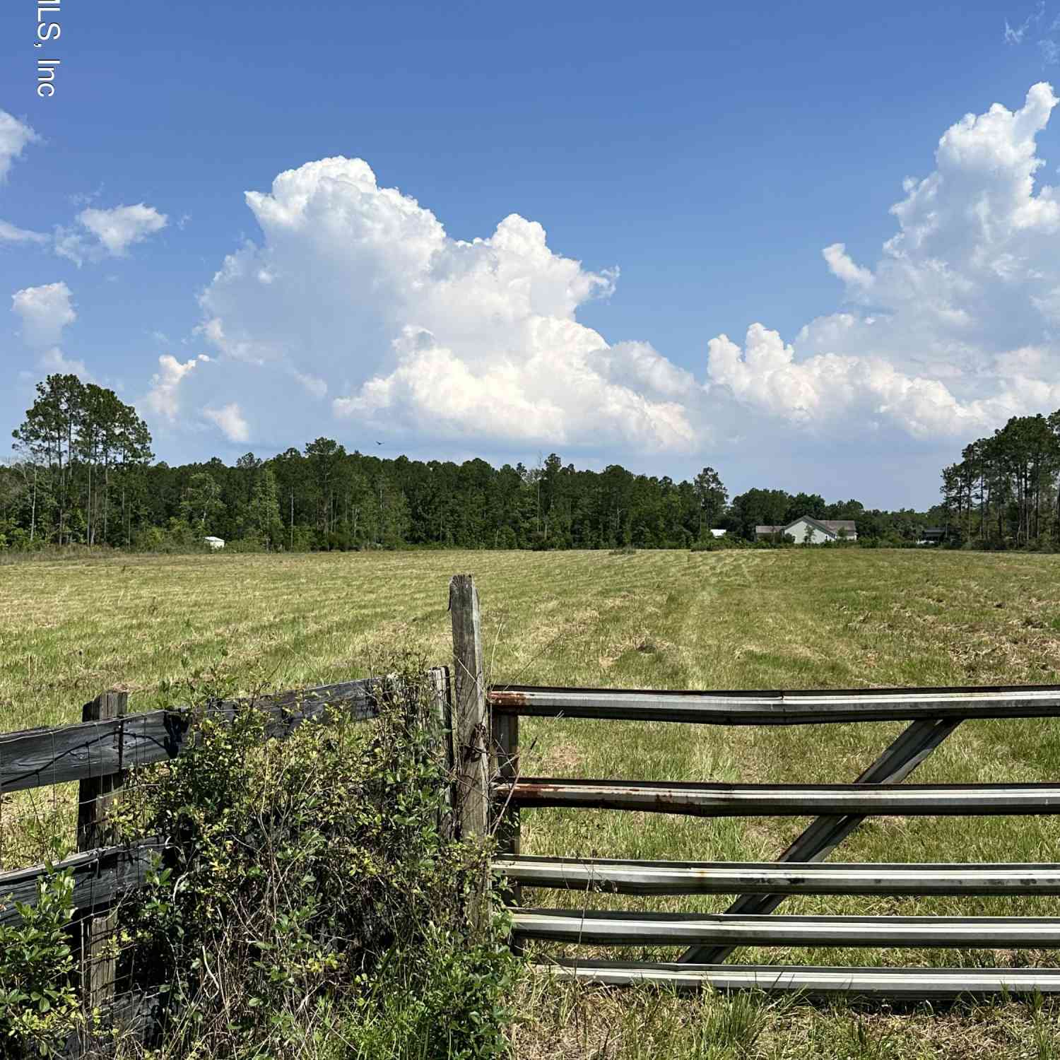 Vacant Land For Sale - Maranda Drive<br/> Green Cove Springs, FL 32043