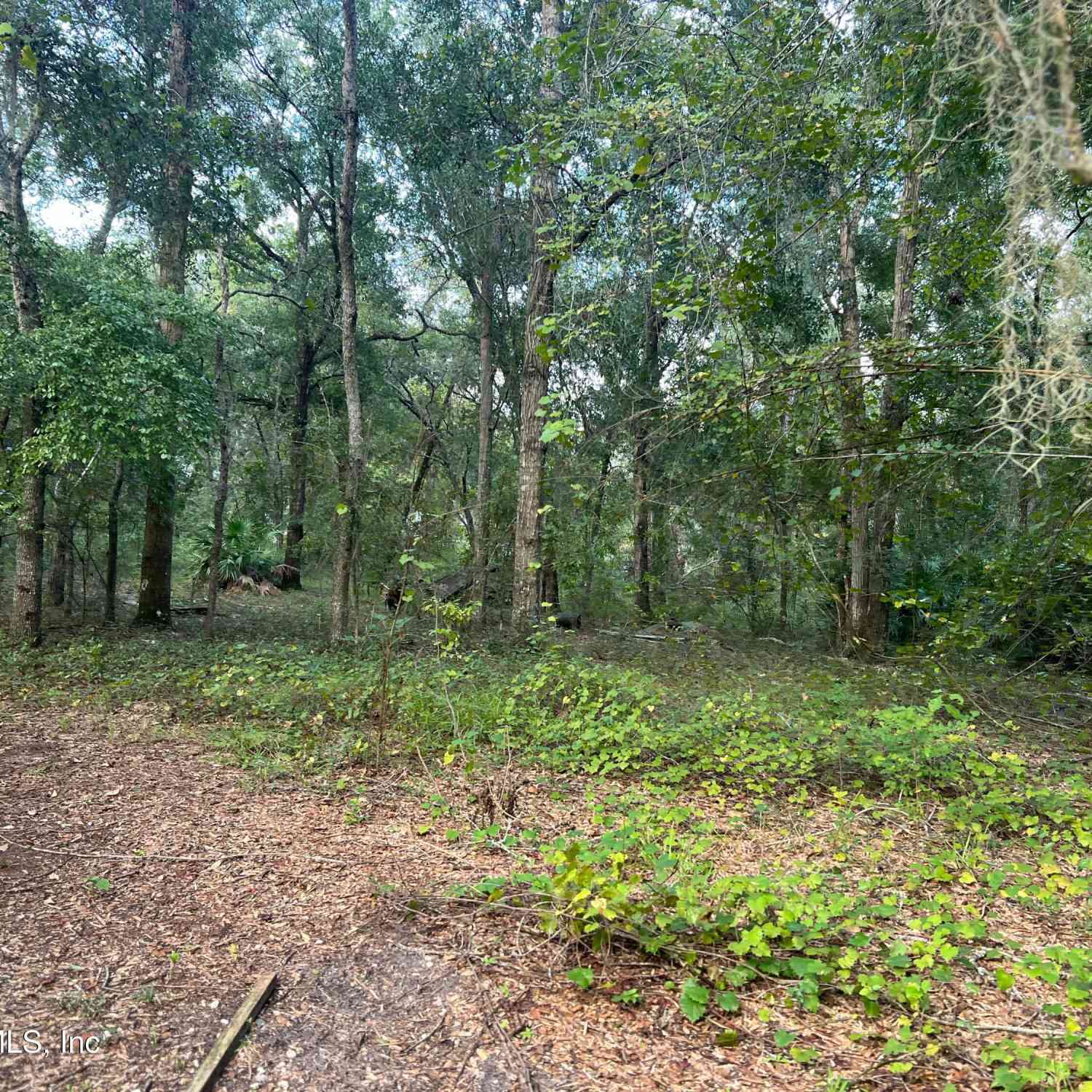 Vacant Land For Sale - 126 Willow Lane<br/> Heathrow, FL 32640