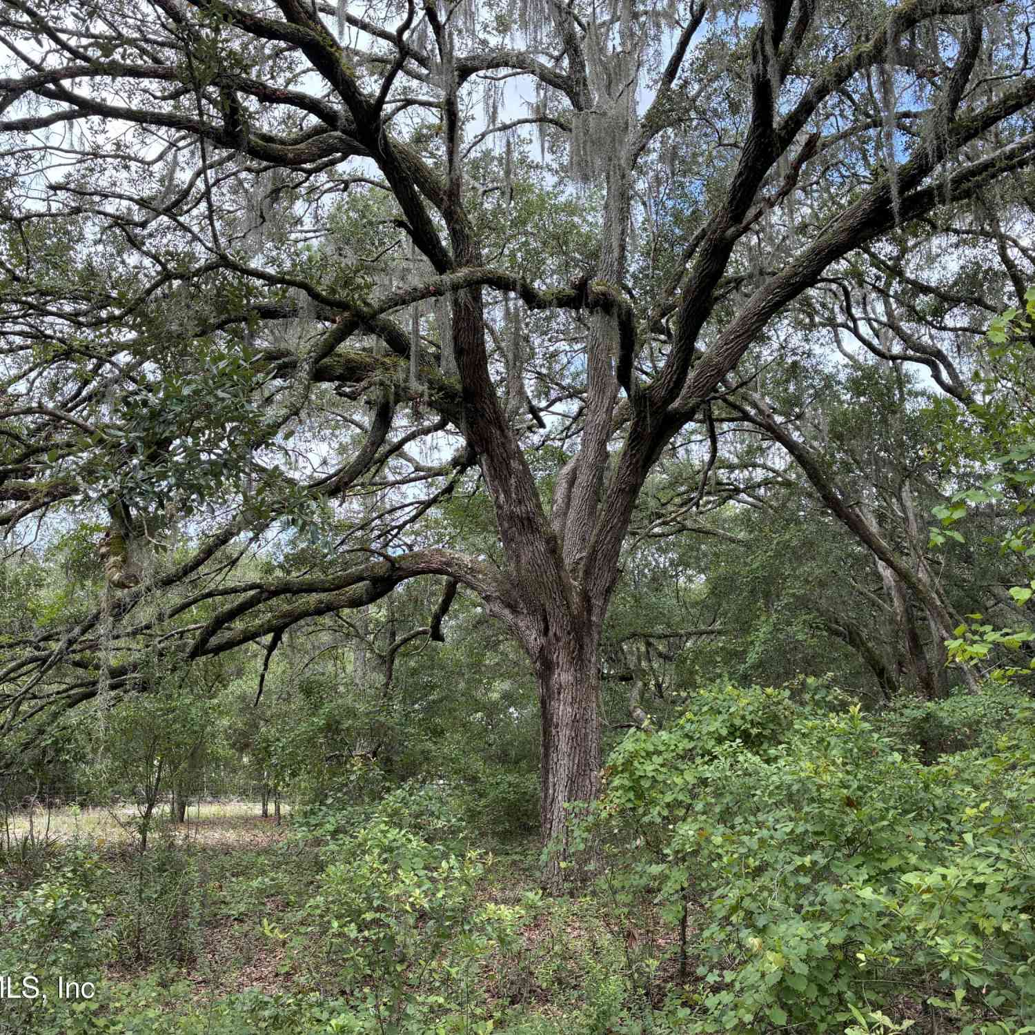 Vacant Land For Sale - 107 Laurel Drive<br/> Heathrow, FL 32640