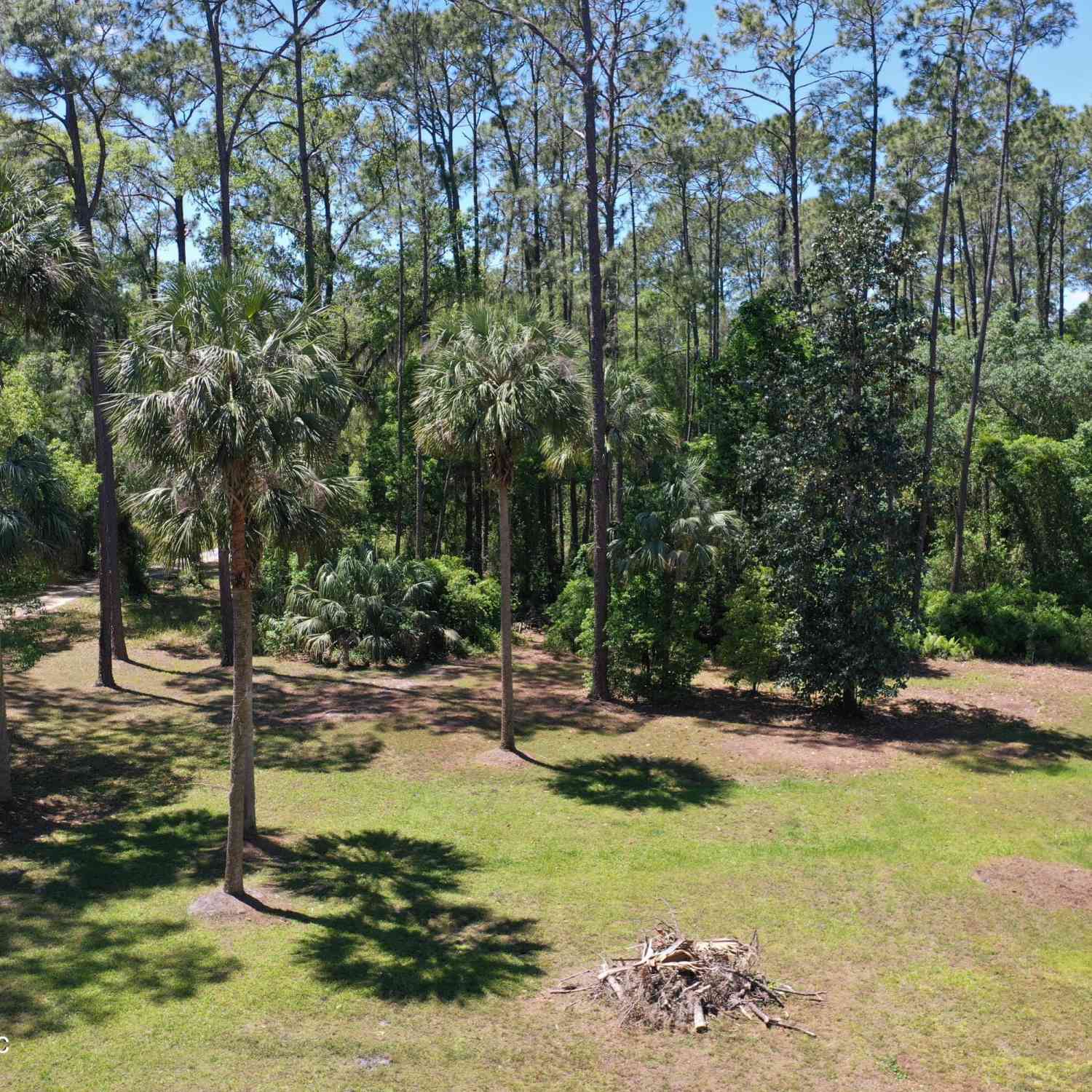 Vacant Land For Sale - 000 Walnut Street<br/> Welaka, FL 32193