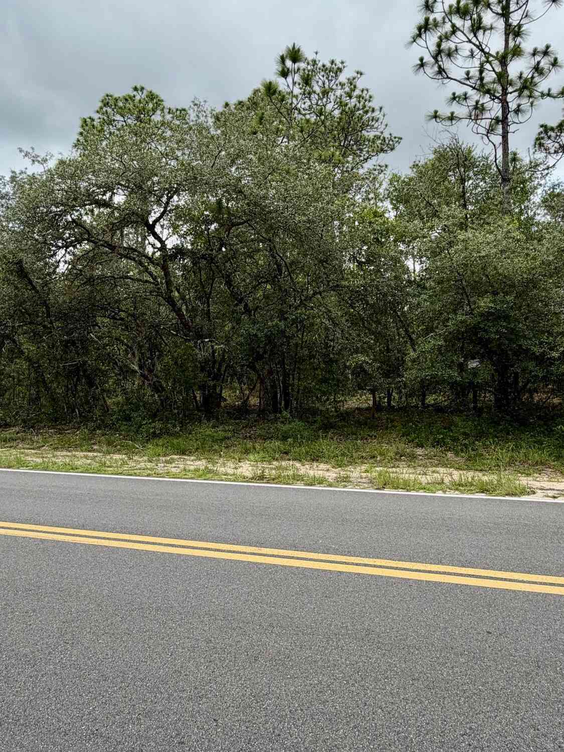 Vacant Land For Sale - 0041 Cousintown Road<br/> Interlachen, FL 32148