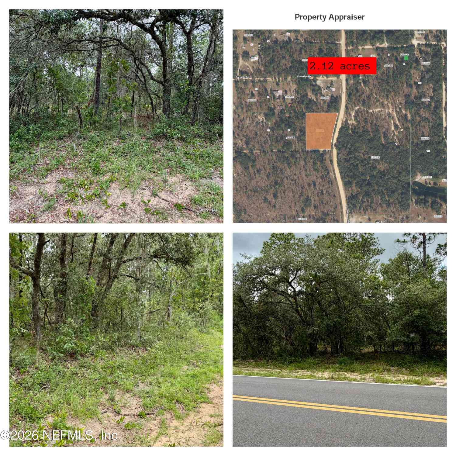 Vacant Land For Sale - 0041 Cousintown Road<br/> Interlachen, FL 32148