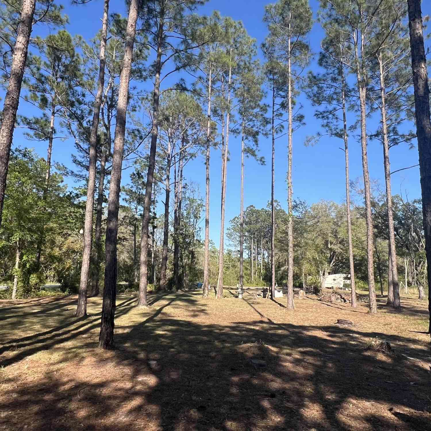 Vacant Land For Sale - Helena Street<br/> Hastings, FL 32145