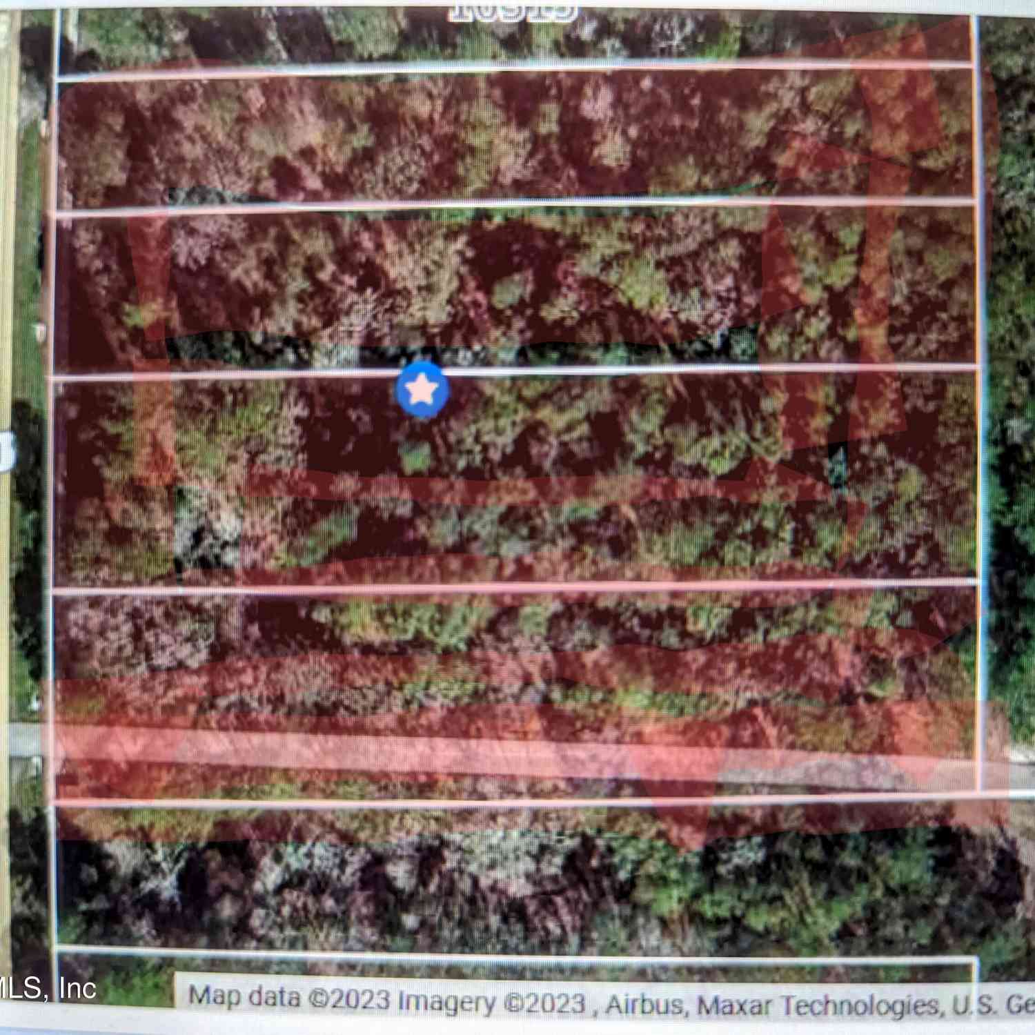 Vacant Land For Sale - 000 NE Us Hwy 301<br/> Alachua County, Waldo, FL 32694