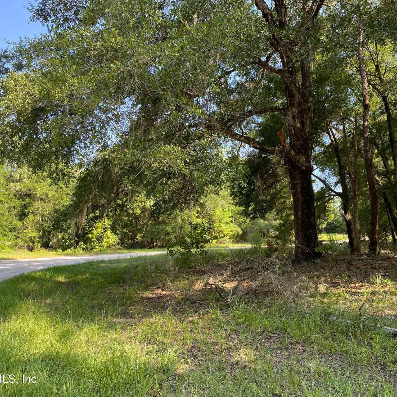 Vacant Land For Sale - 118 Strawberry Street<br/> Putnam County, Pomona Park, FL 32181