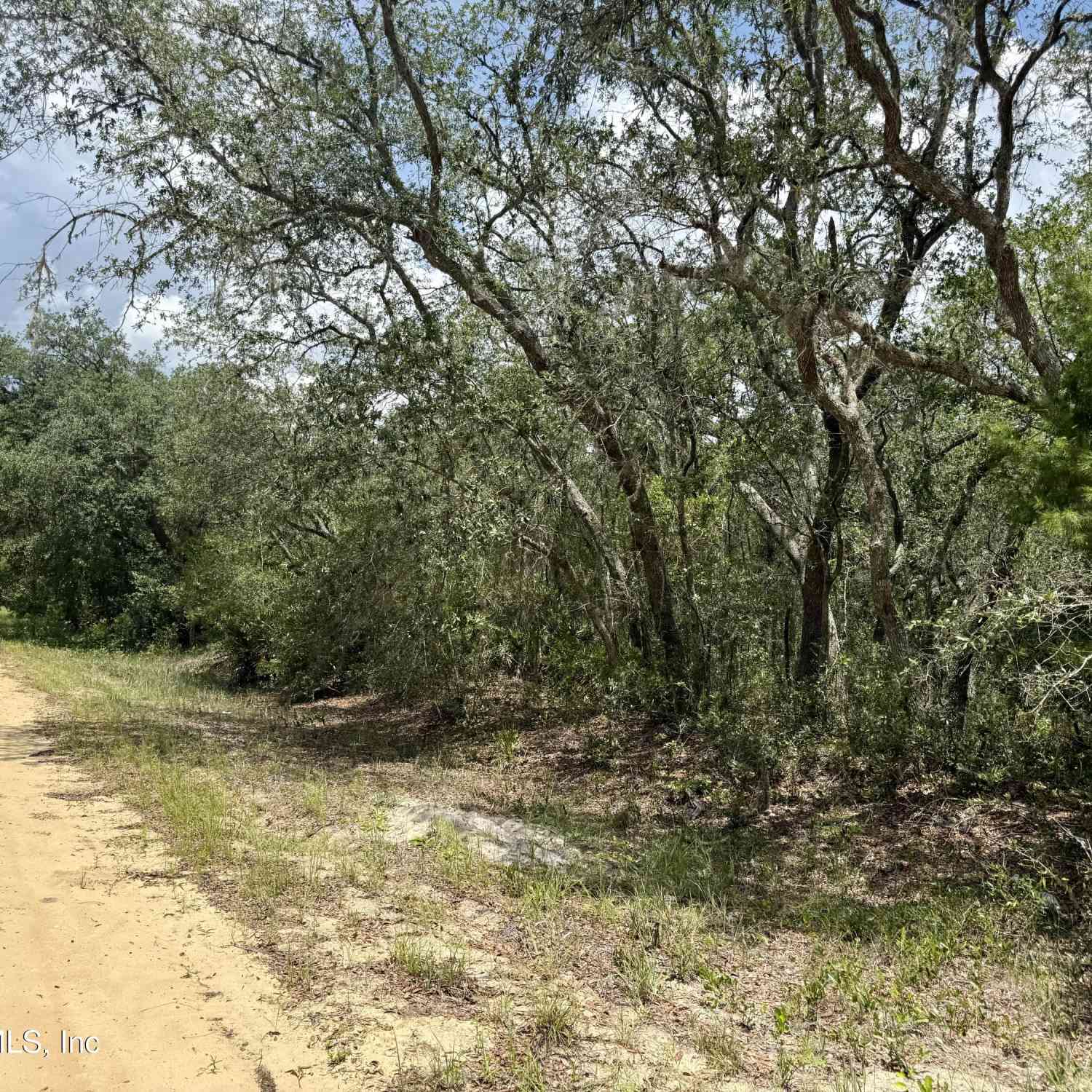 Vacant Land For Sale - XXX Wallace Street<br/> Putnam County, Interlachen, FL 32148
