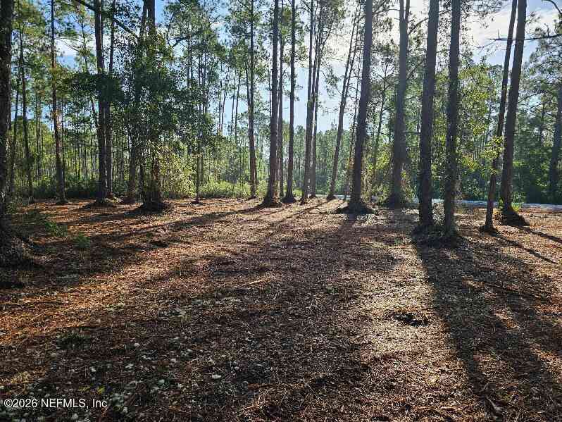 Vacant Land For Sale - 211 Georgetown Denver Road<br/> Putnam County, Georgetown, FL 32139