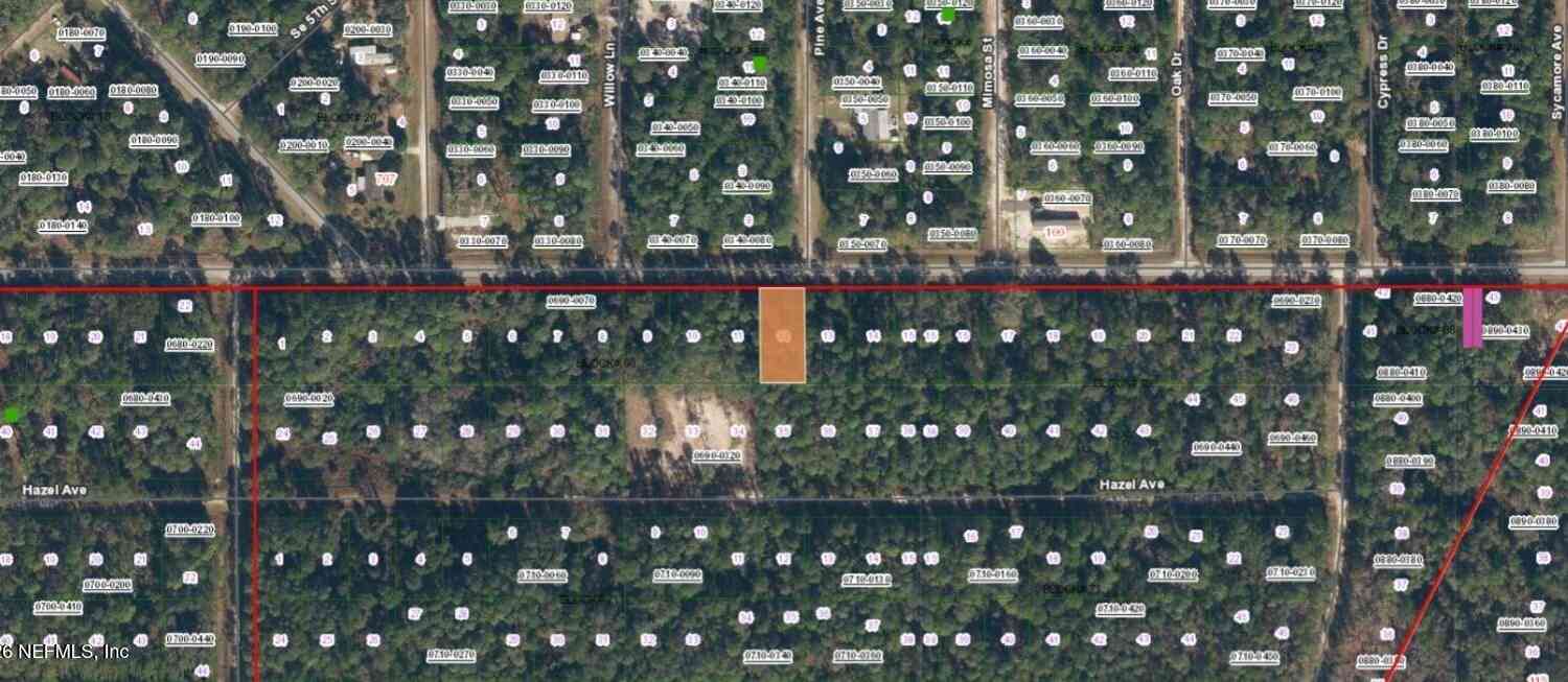 Vacant Land For Sale - 323 Paradise Boulevard<br/> Putnam County, Georgetown, FL 32139