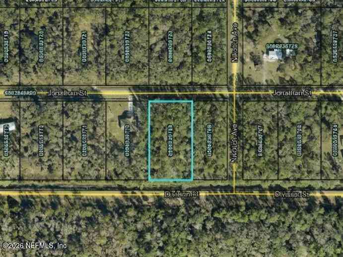 Vacant Land For Sale - 4710 Division Street<br/> Saint Johns County, Hastings, FL 32145