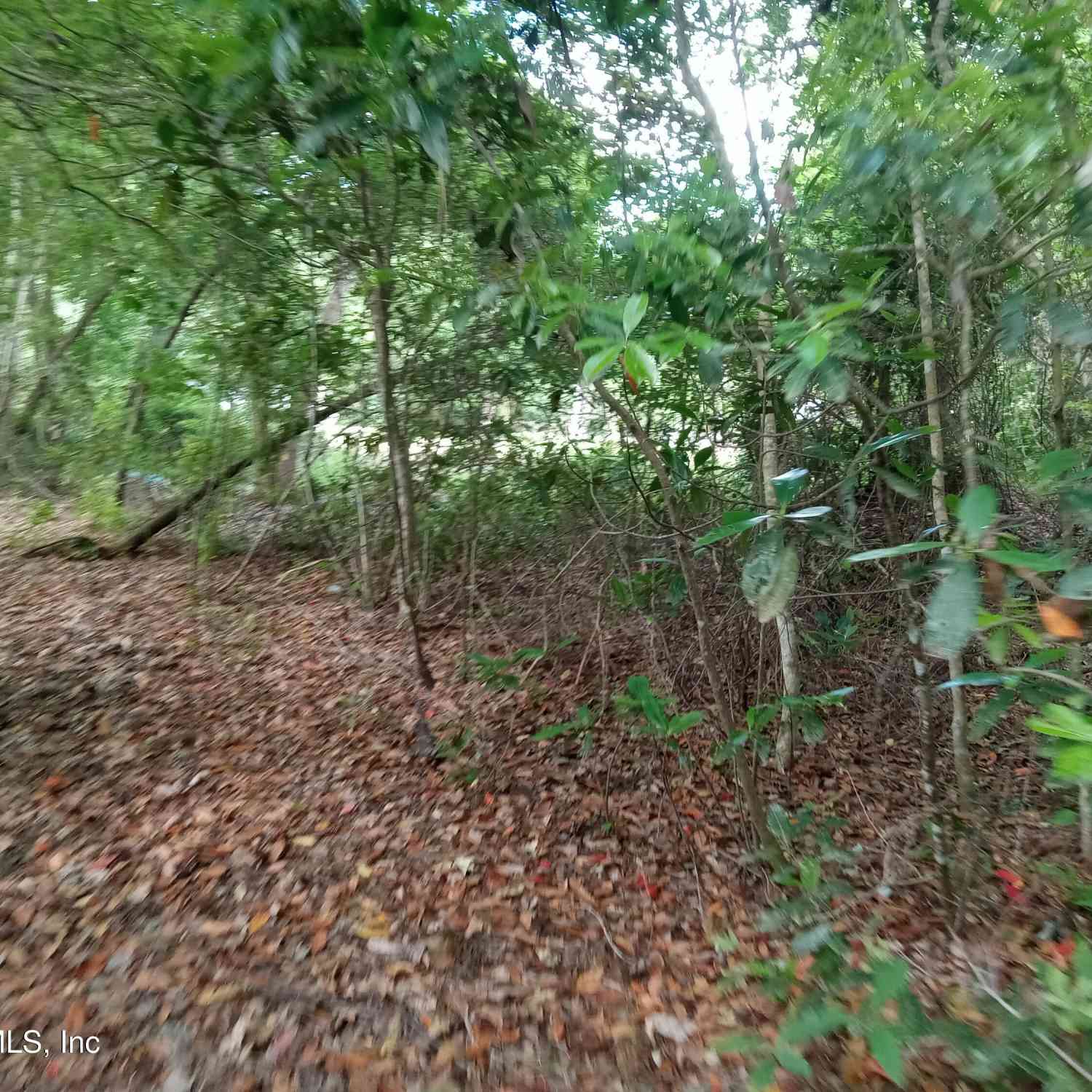 Vacant Land For Sale - 75427 Johnson Lake Road<br/> Nassau County, Yulee, FL 32097
