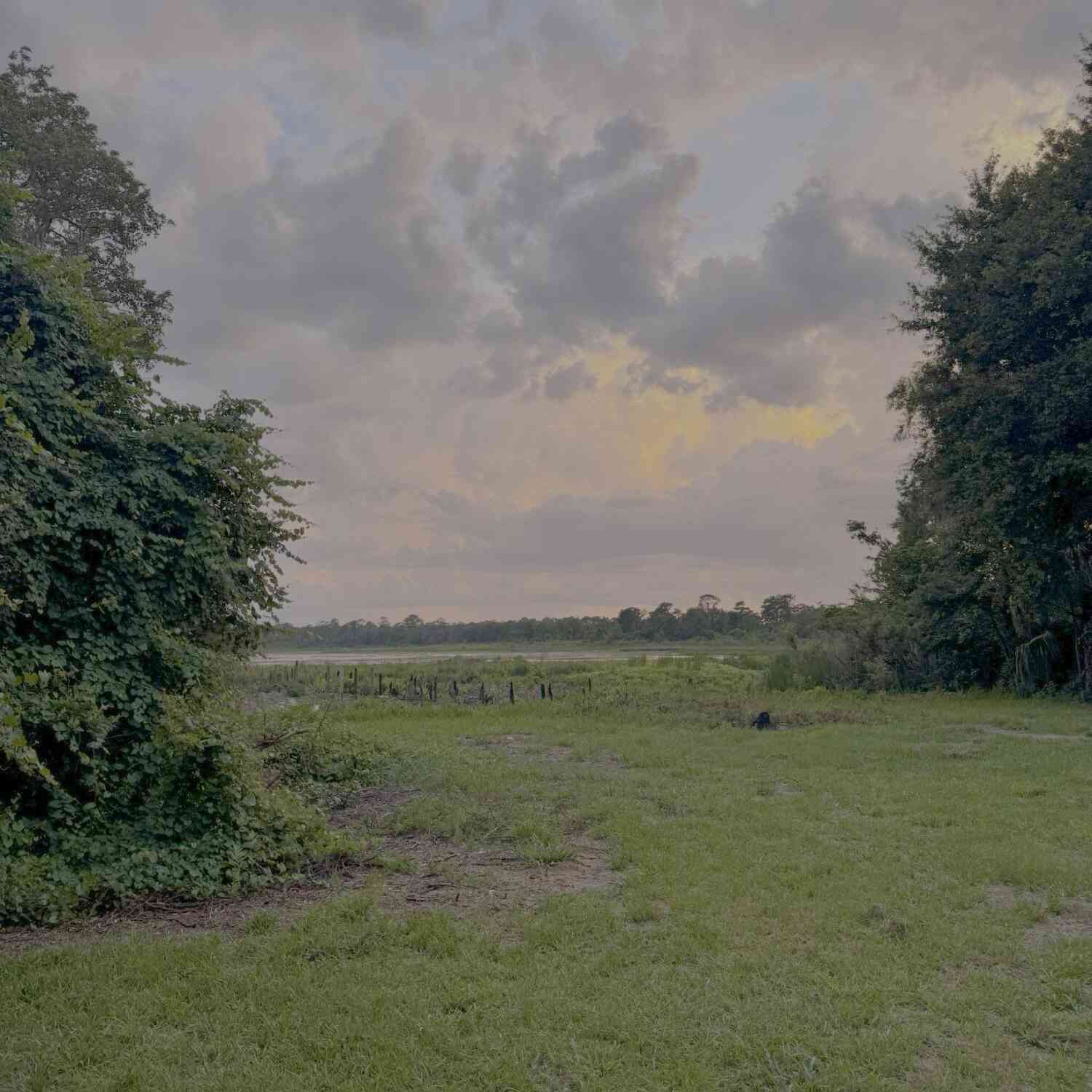Vacant Land For Sale - 211 Walker Drive<br/> Putnam County, Interlachen, FL 32148