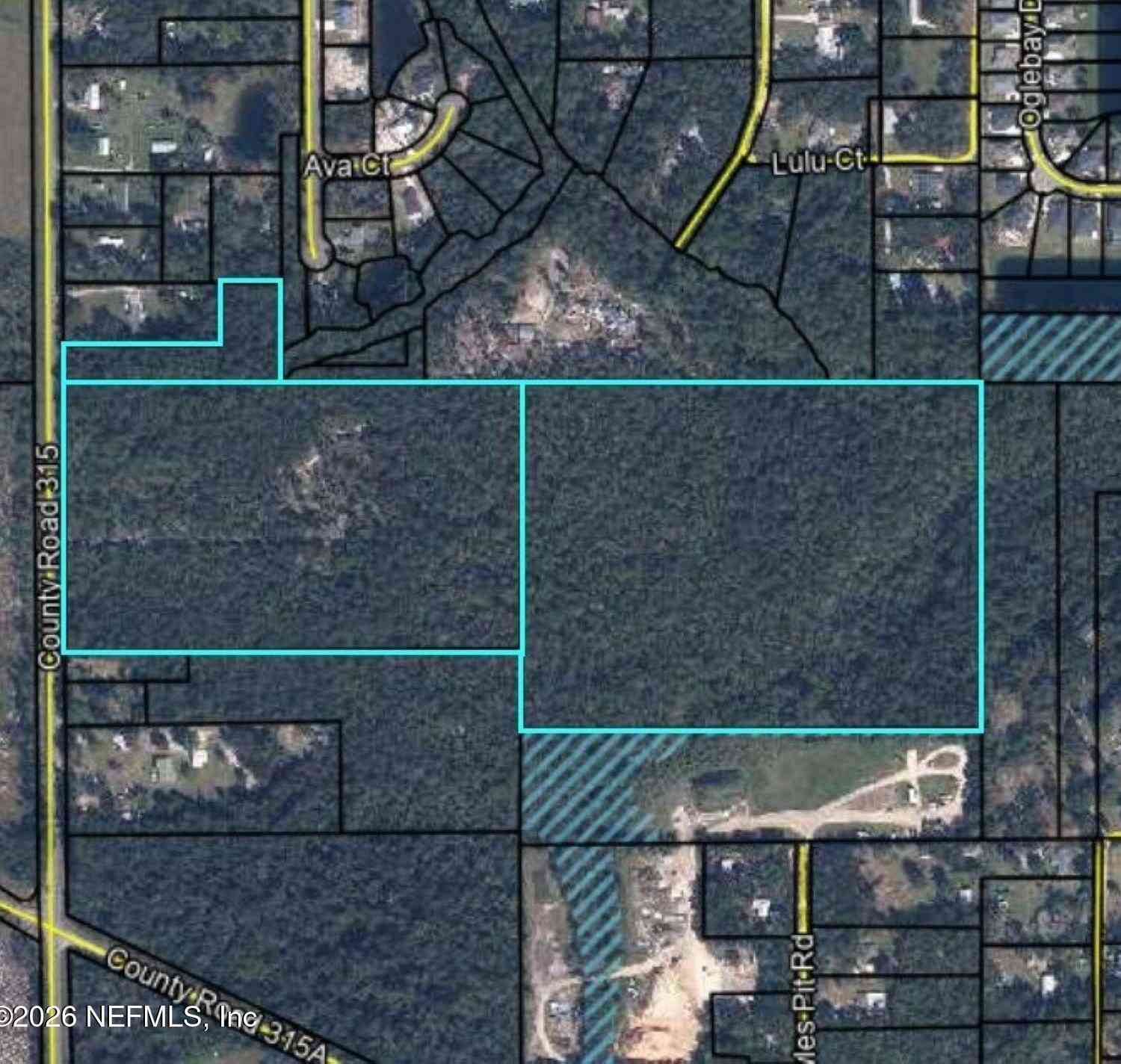 Homes For Sale - 3771 County Road 315<br/> Green Cove Springs, FL 32043