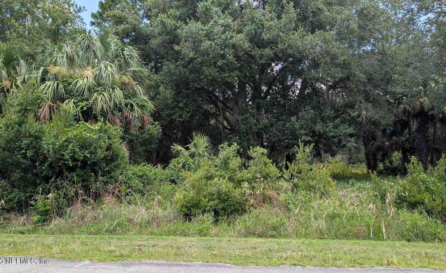 Vacant Land For Sale - 710 Paradise Boulevard<br/> Georgetown, FL 32139