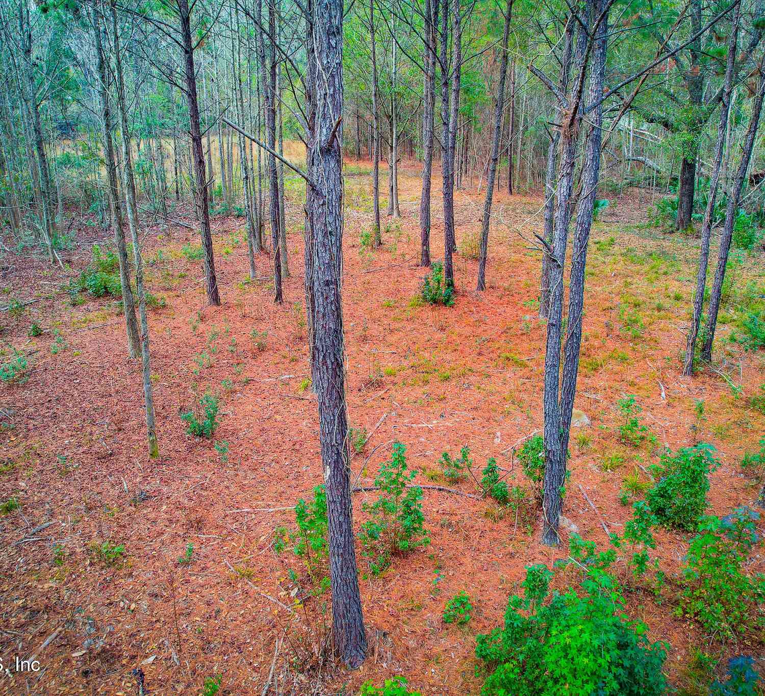 Vacant Land For Sale - 27 Ratliff Road<br/> Nassau County, Callahan, FL 32011