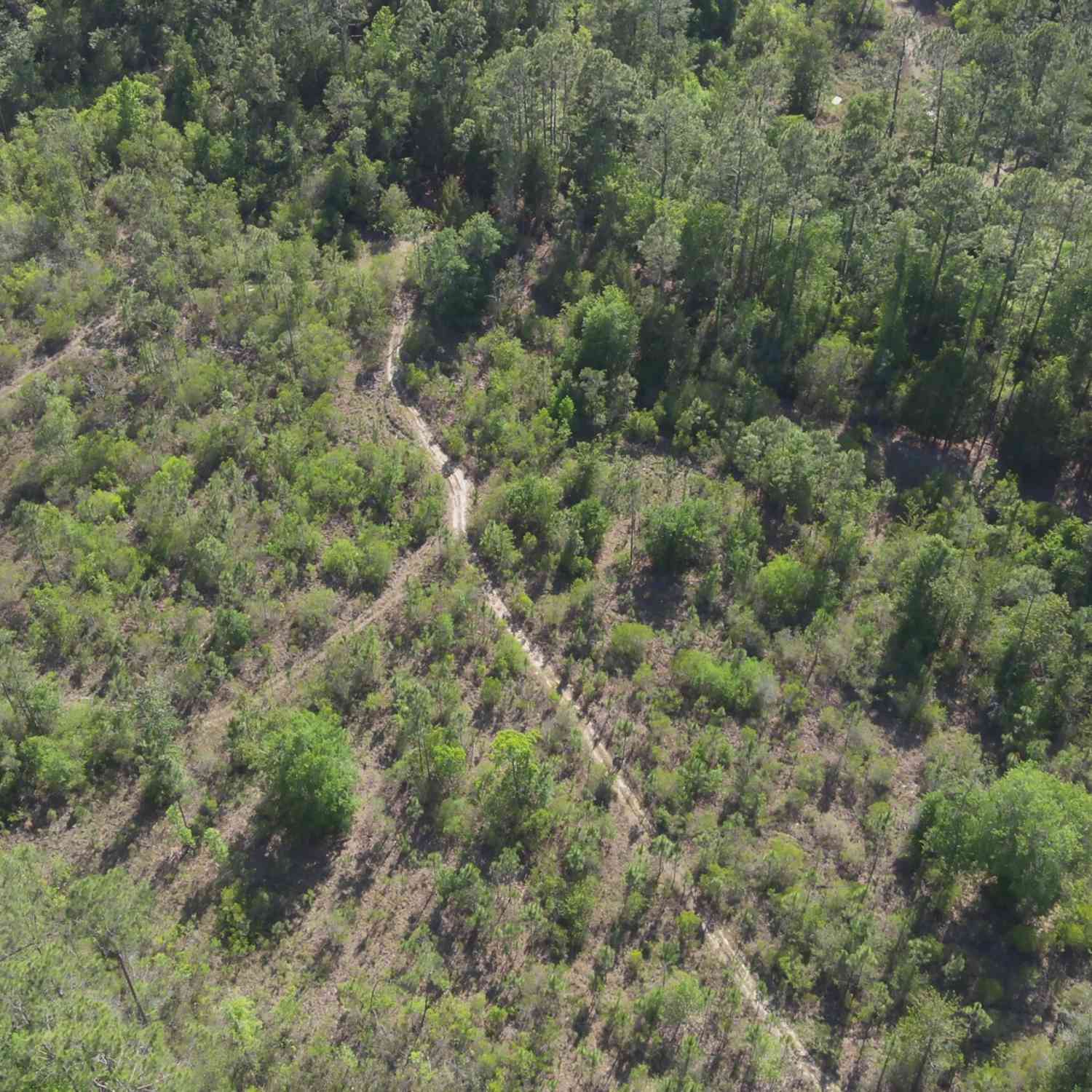 Vacant Land For Sale - Maxville Macclenny Highway<br/> Jacksonville, FL 32234