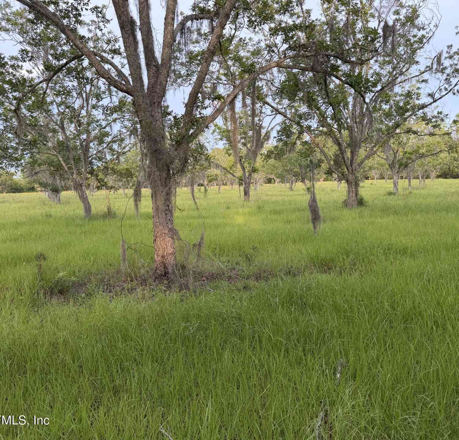 Vacant Land For Sale - 17620 NE 77th Lane<br/> Alachua County, Heathrow, FL 32640