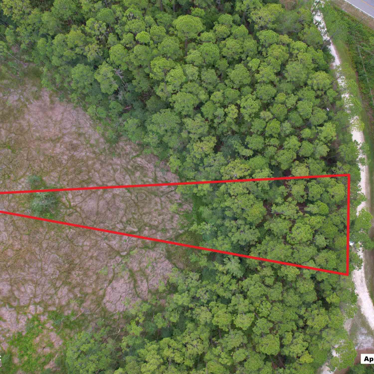 Vacant Land For Sale - 106 Shirley Circle<br/> Georgetown, FL 32139
