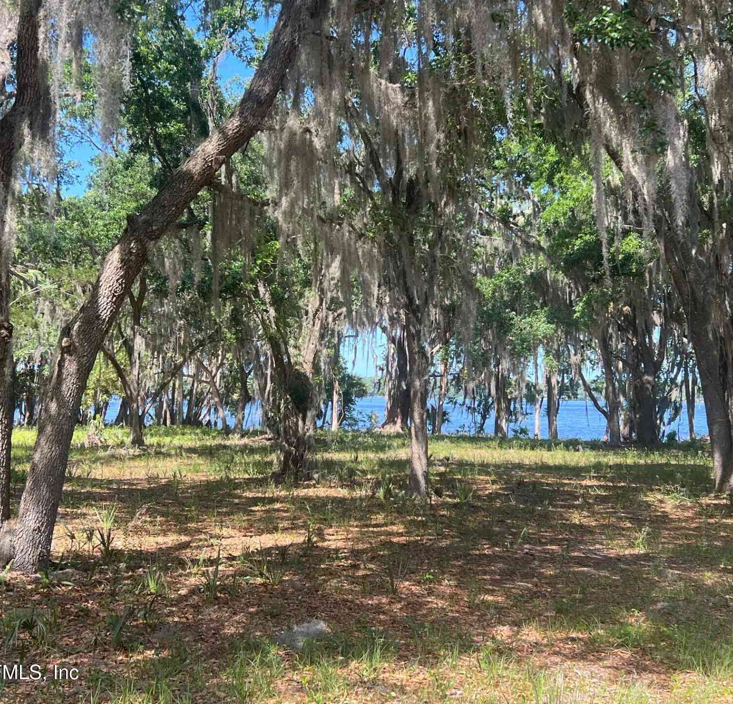 Vacant Land For Sale - 762 National Forest Road 75g Road<br/> Palatka, FL 32177