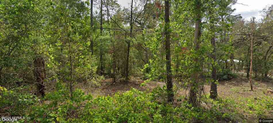 Vacant Land For Sale - 105 Pinetree Street<br/> Pomona Park, FL 32181