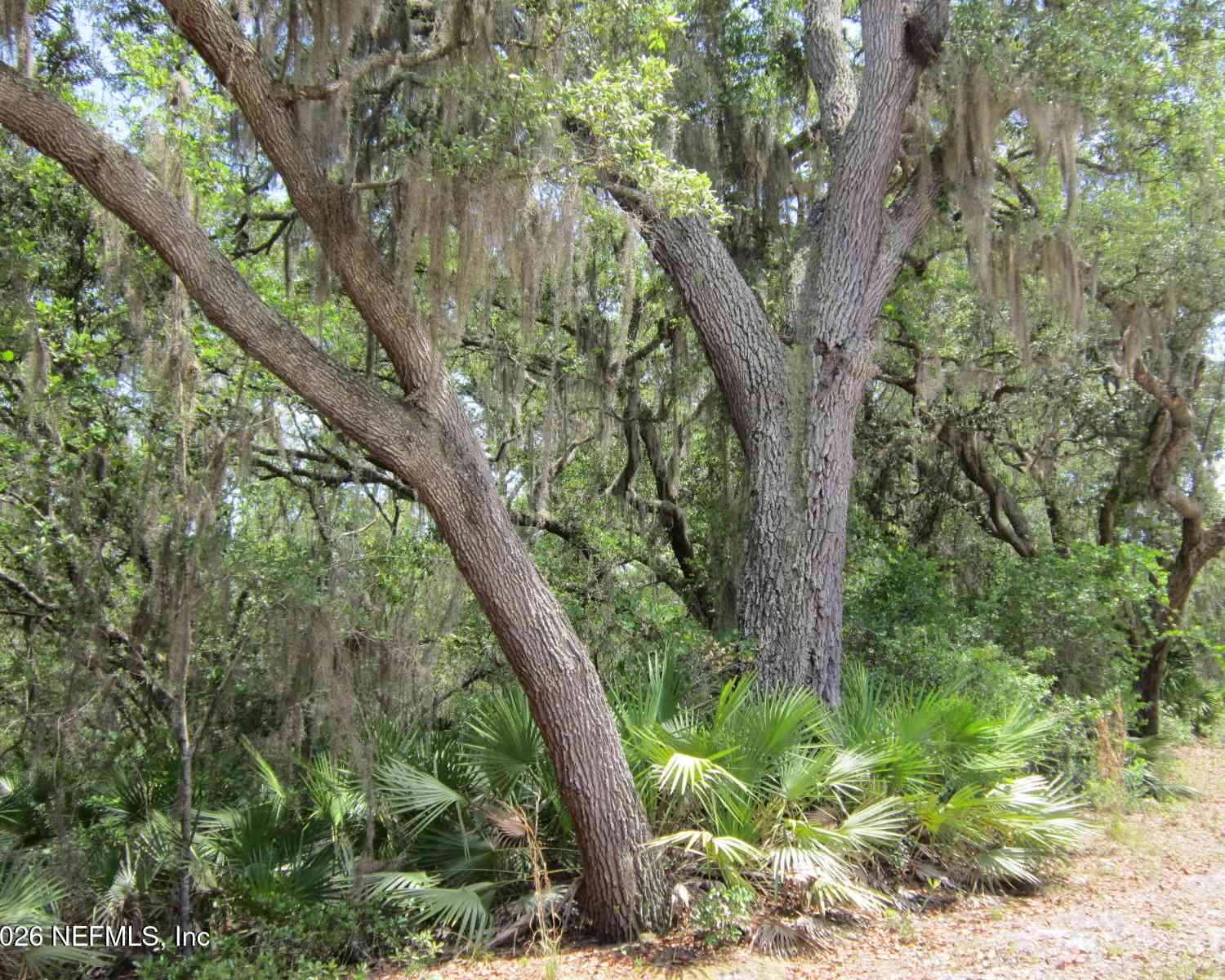 Vacant Land For Sale - 125 Kirby Lane<br/> Melrose, FL 32666