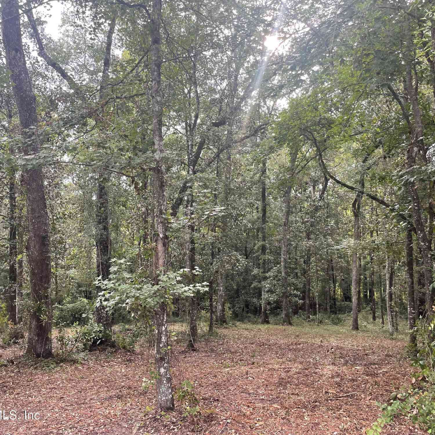 Vacant Land For Sale - 4825 Gopher Circle<br/> Middleburg, FL 32068
