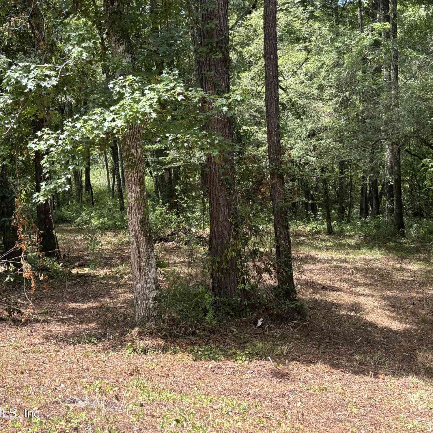 Vacant Land For Sale - 4819 Gopher Circle<br/> Middleburg, FL 32068