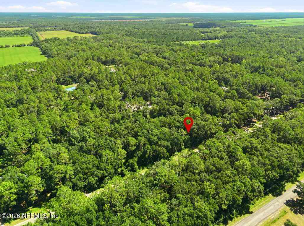 Vacant Land For Sale - 5020 Earl Street<br/> Hastings, FL 32145