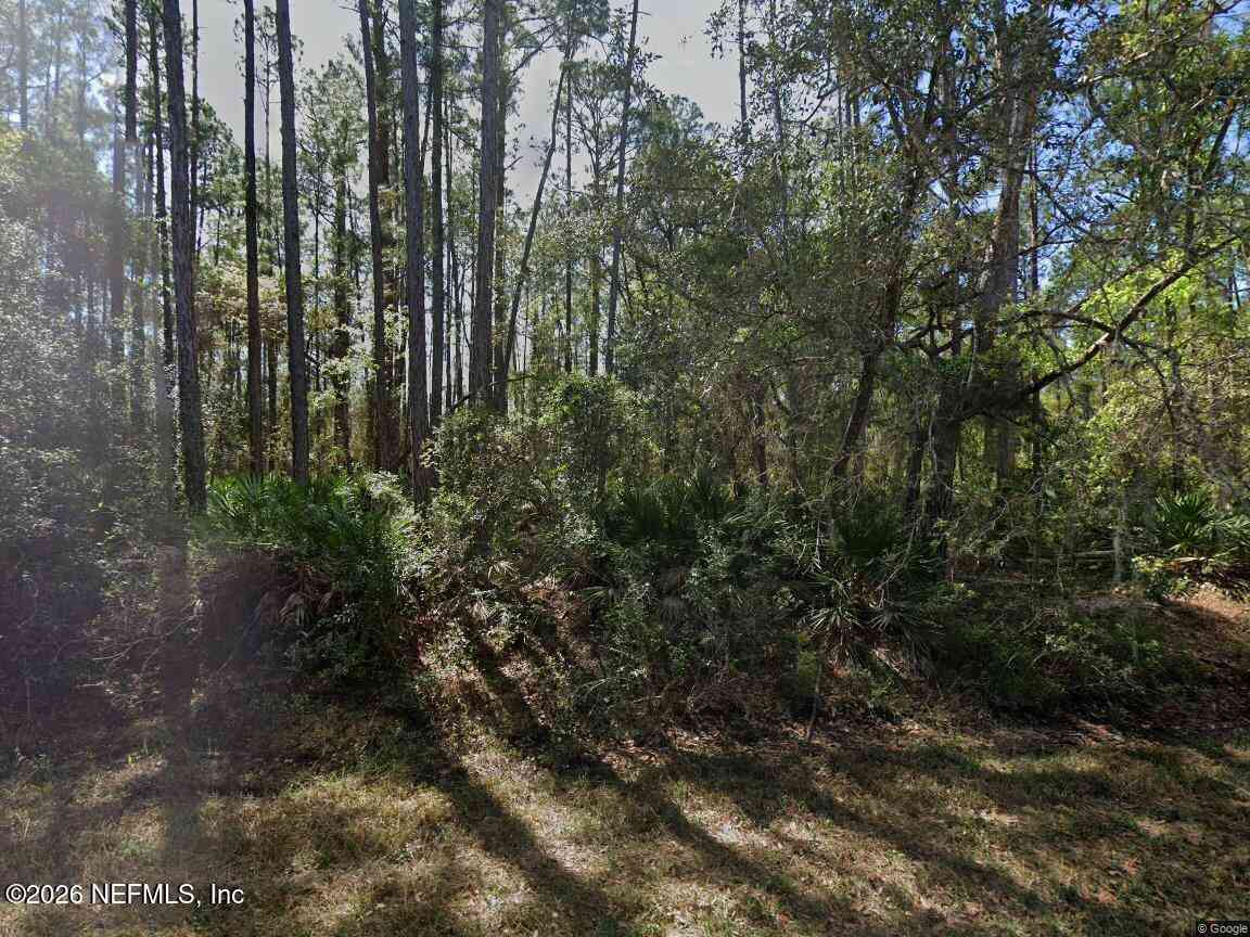 Vacant Land For Sale - 213 Terri Ave Avenue<br/> Putnam County, Georgetown, FL 32139