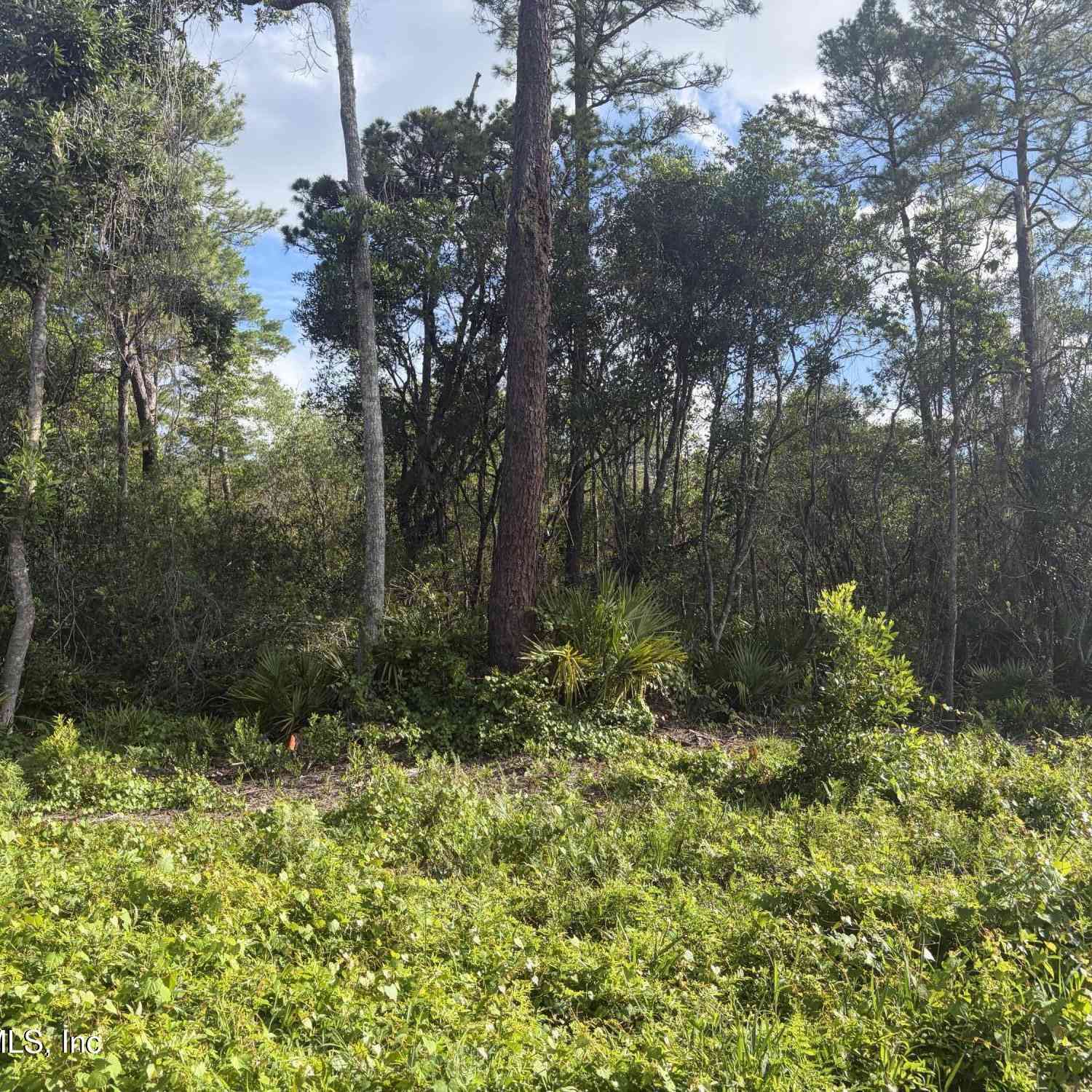 Vacant Land For Sale - Waites Dr Drive<br/> Florahome, FL 32140