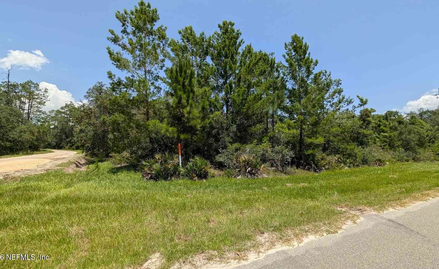 Vacant Land For Sale - 201 Whispering Pines Road<br/> Putnam County, Georgetown, FL 32139