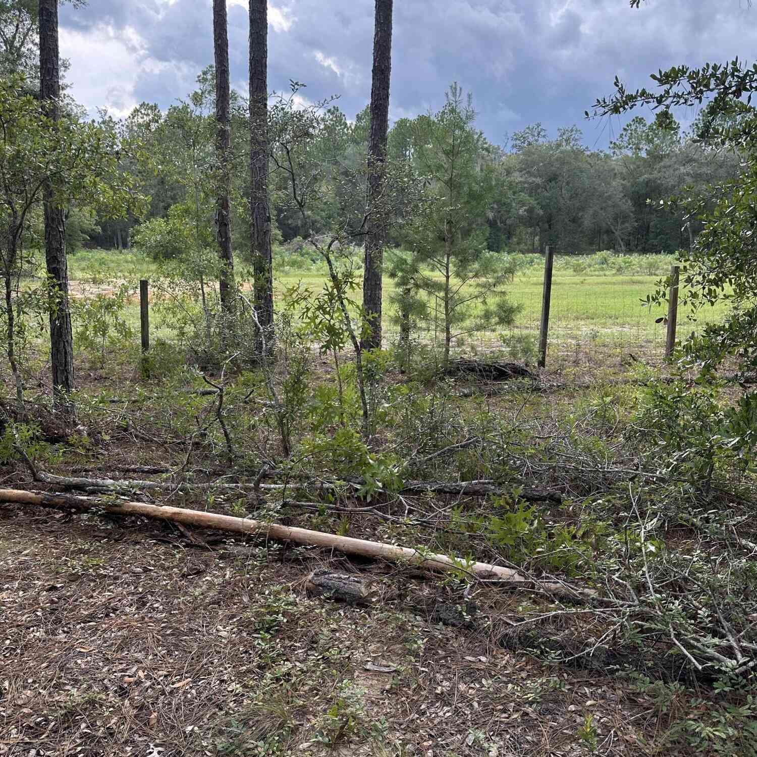 Vacant Land For Sale - Interlachen Lakes Estates<br/> Putnam County, Interlachen, FL 32148