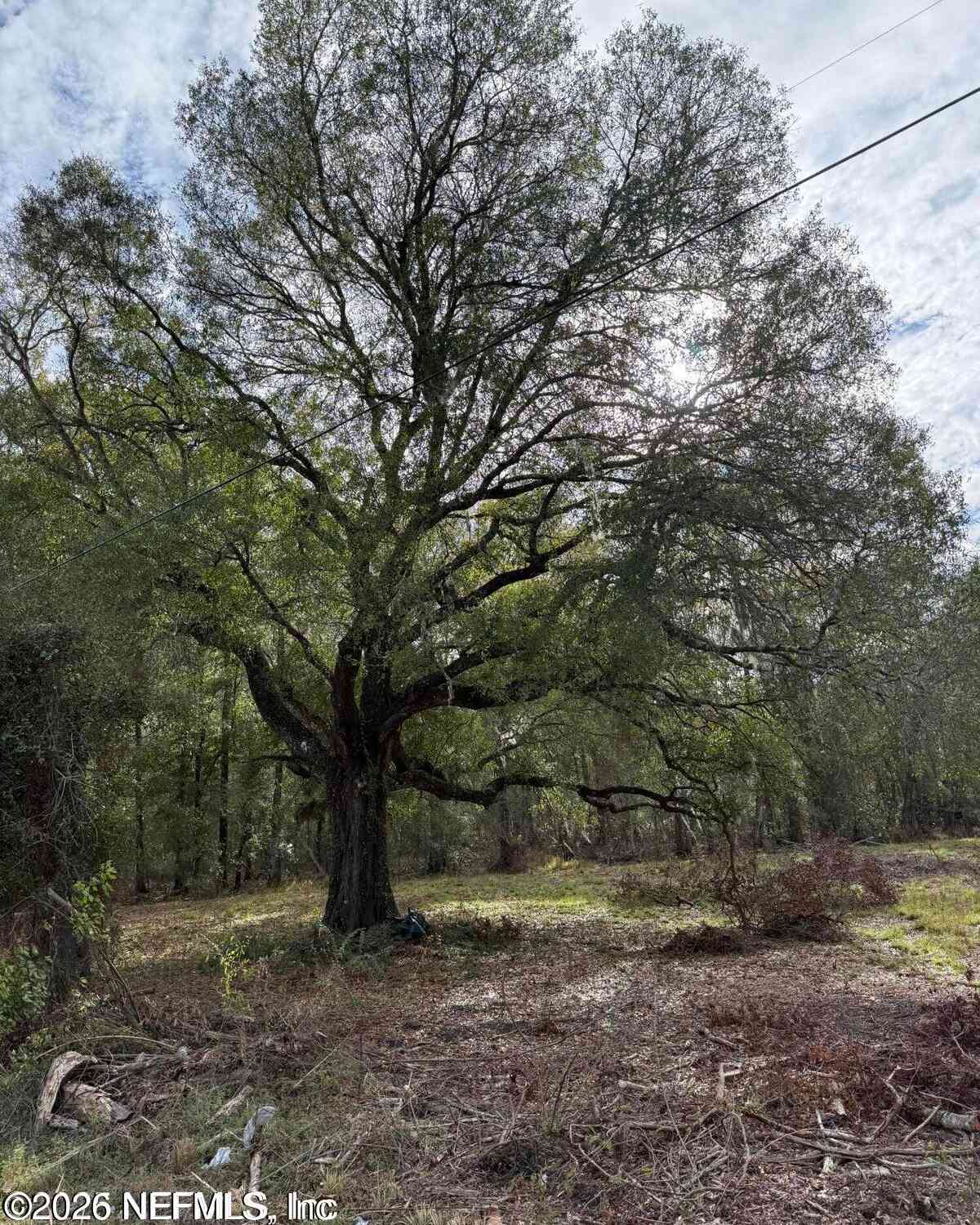 Vacant Land For Sale - TBD NW Sr 16<br/> Bradford County, Starke, FL 32091