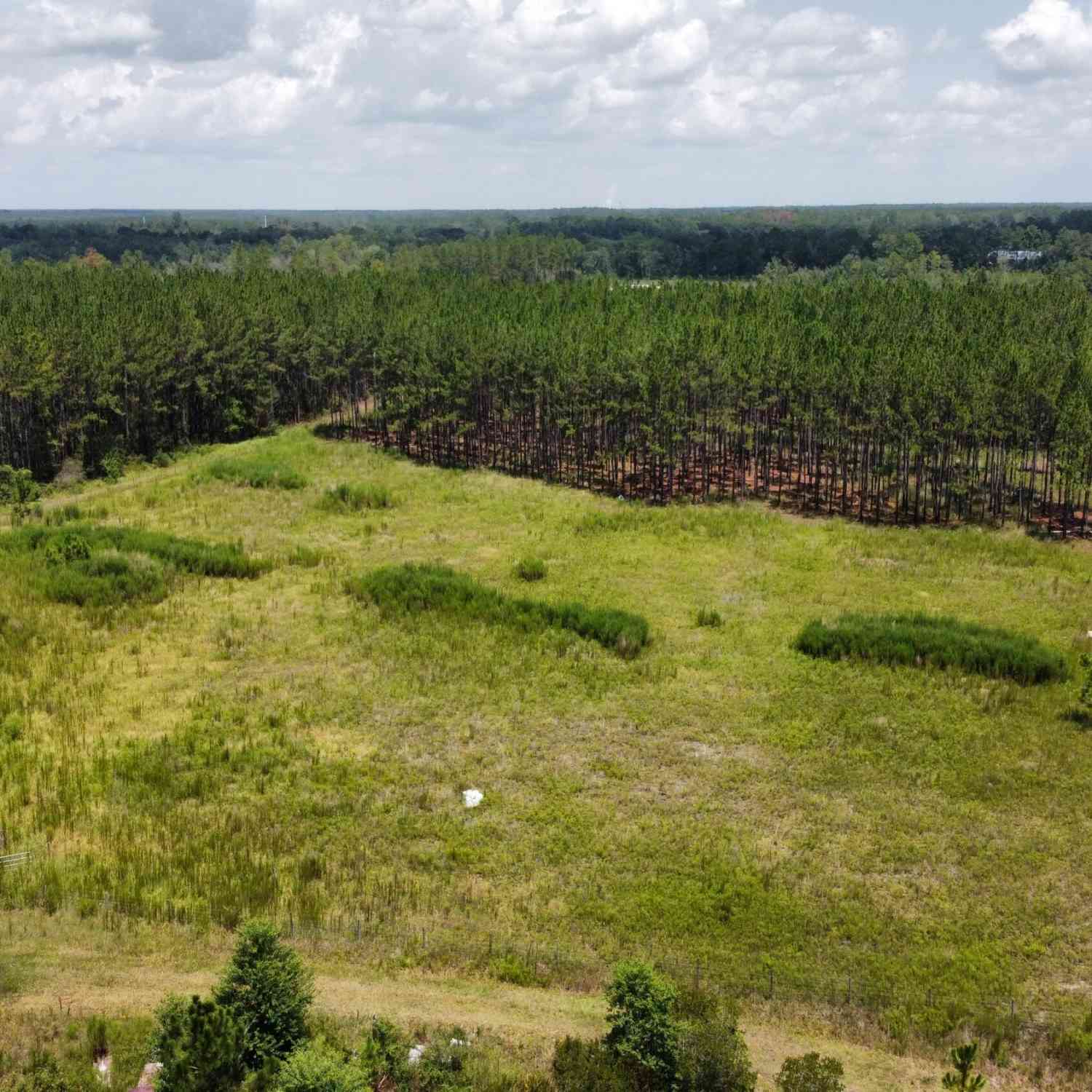 Vacant Land For Sale - 00 SE 113th Way<br/> Bradford County, Starke, FL 32091