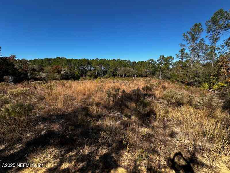 Vacant Land For Sale - 220 Como Circle<br/> Putnam County, Interlachen, FL 32148