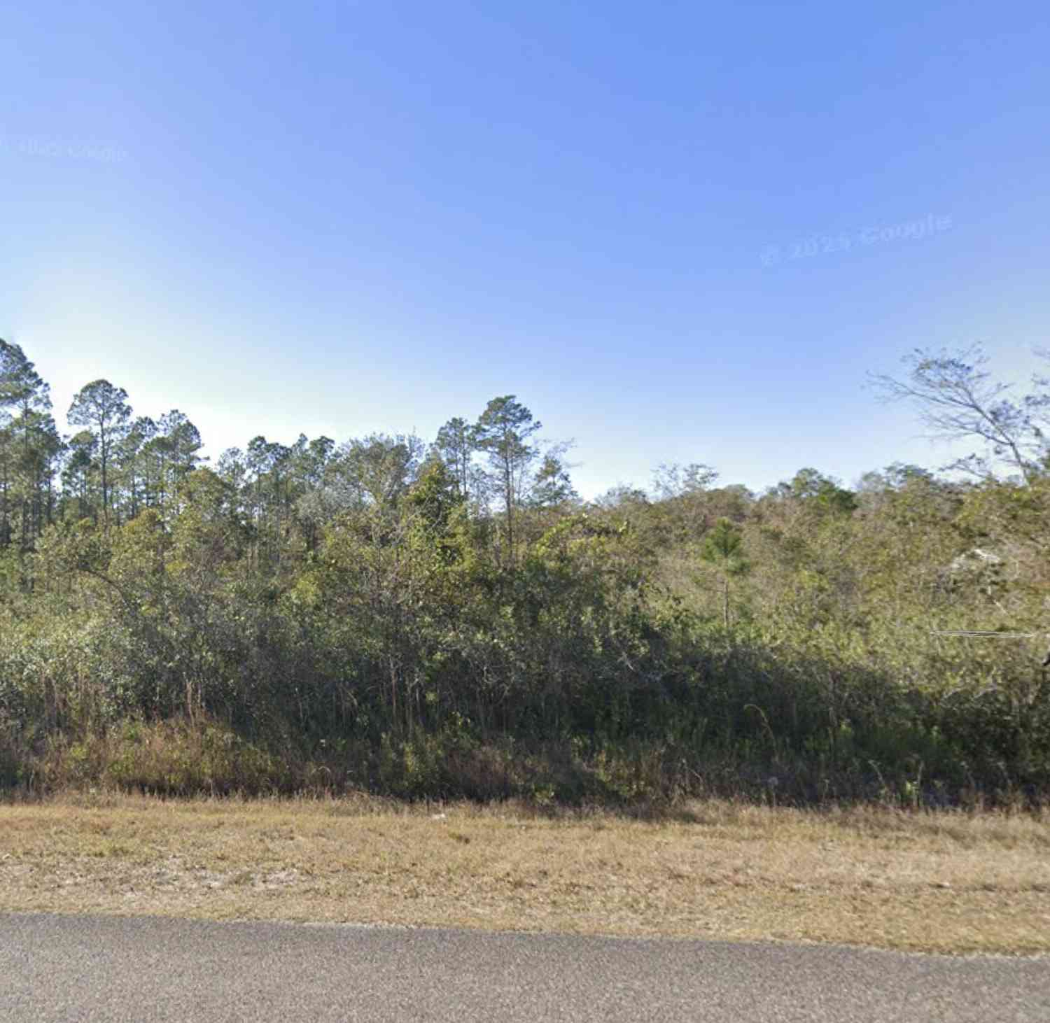 Vacant Land For Sale - 10155 Kirchherr Avenue<br/> Saint Johns County, Hastings, FL 32145